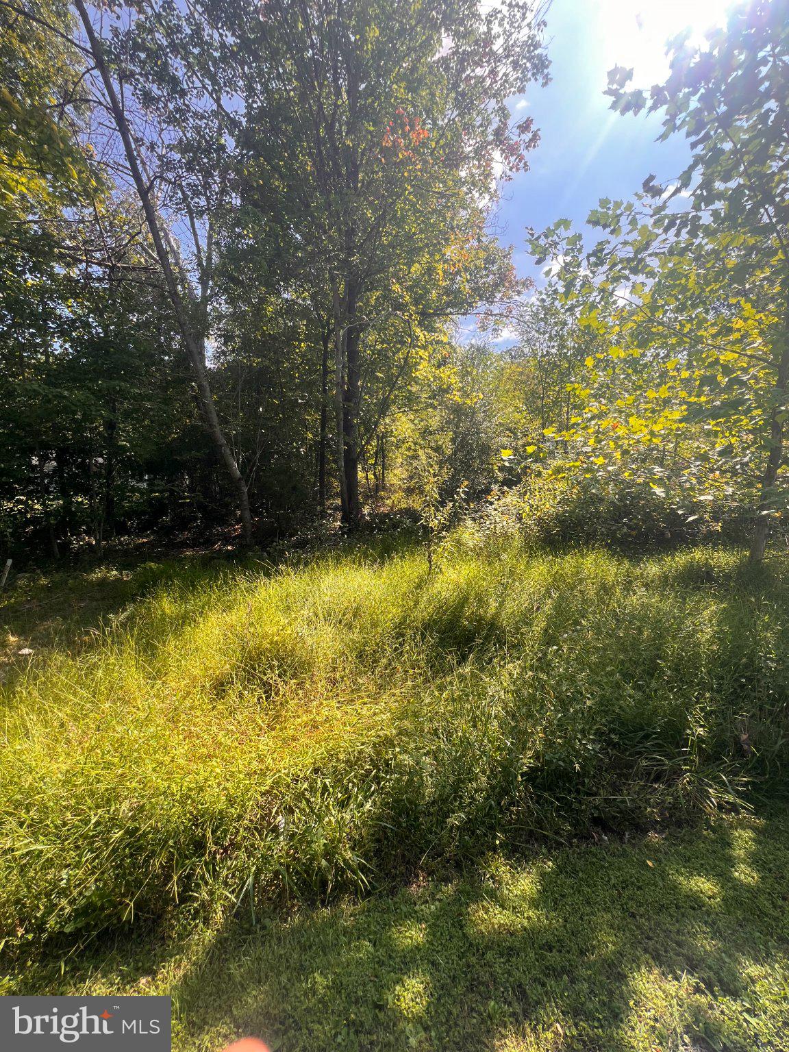LOT 28 CEDAR LANE