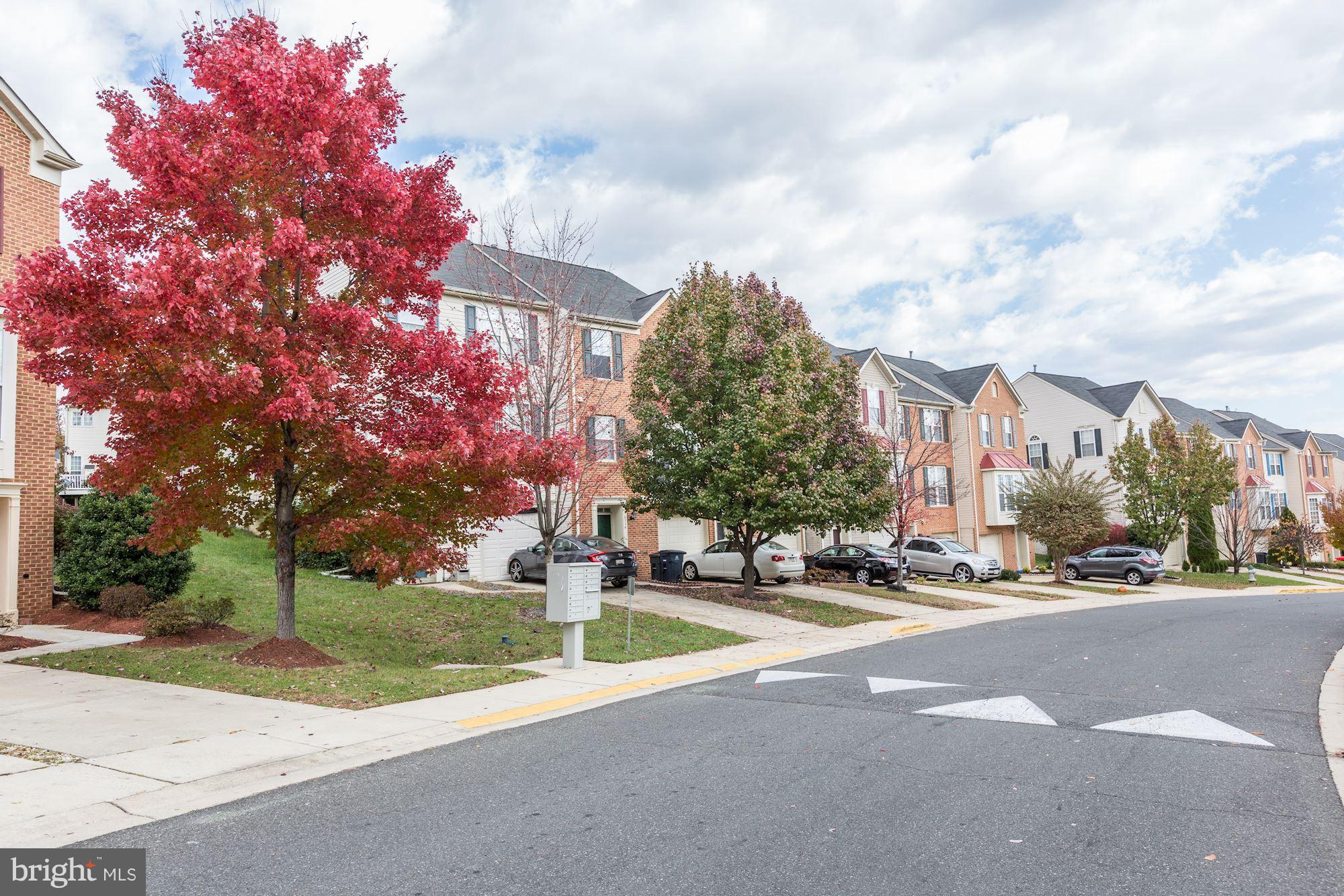 LANDOVER MEWS-PLAT FIVE> - Farm