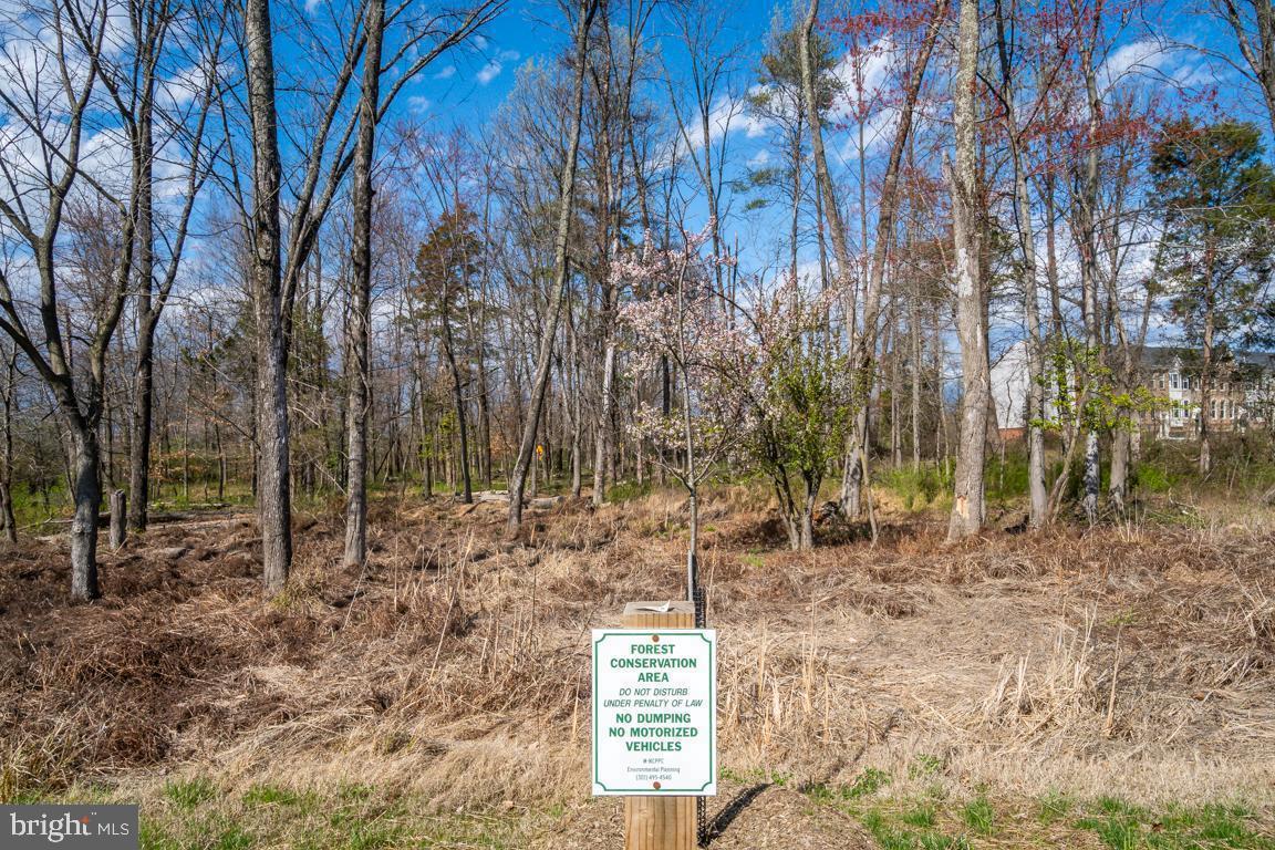 NORBECK CROSSING - Residential