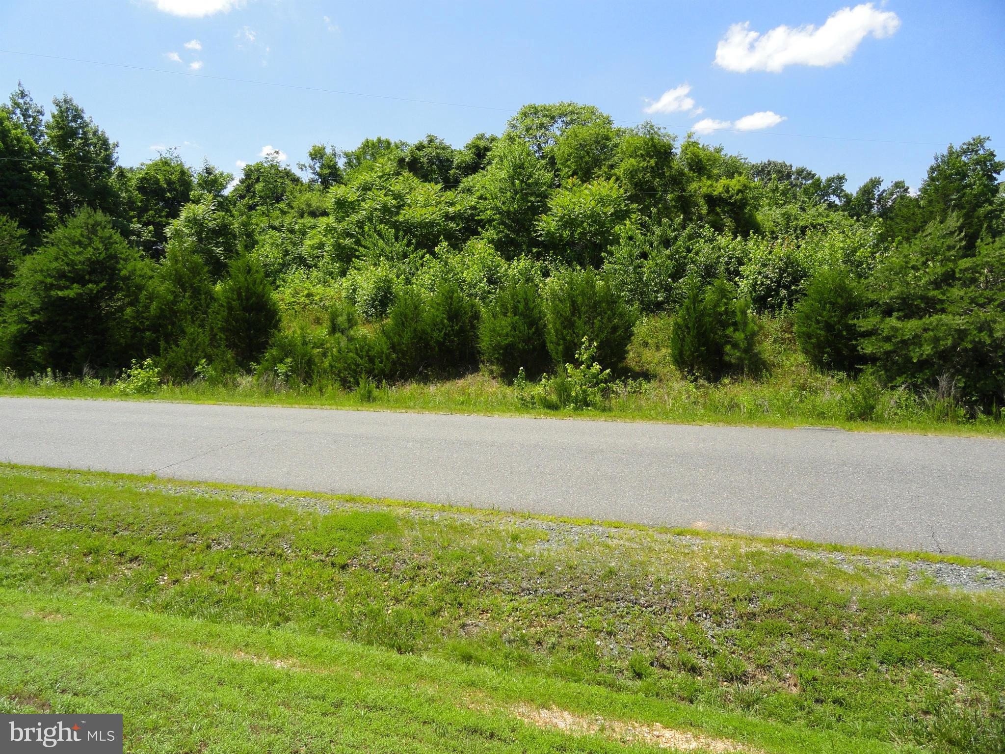 ALLEN FAMILY SUBDIVISION - Land