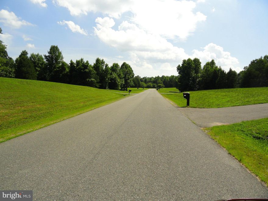 STUNNINGLY GORGEOUS 3 acre lot zoned A1 near the VRE & NO HOA! This lot enjoys public road access from hard surfaced Revell Road in the upscale Potomac Run Farms community, but it is not a part of it! Build the home of your dreams, enjoy sunset views from your porch! Horses & chickens are welcome! The FABULOUS 370' +/- road frontage offers many options! This is the last and only lot available!