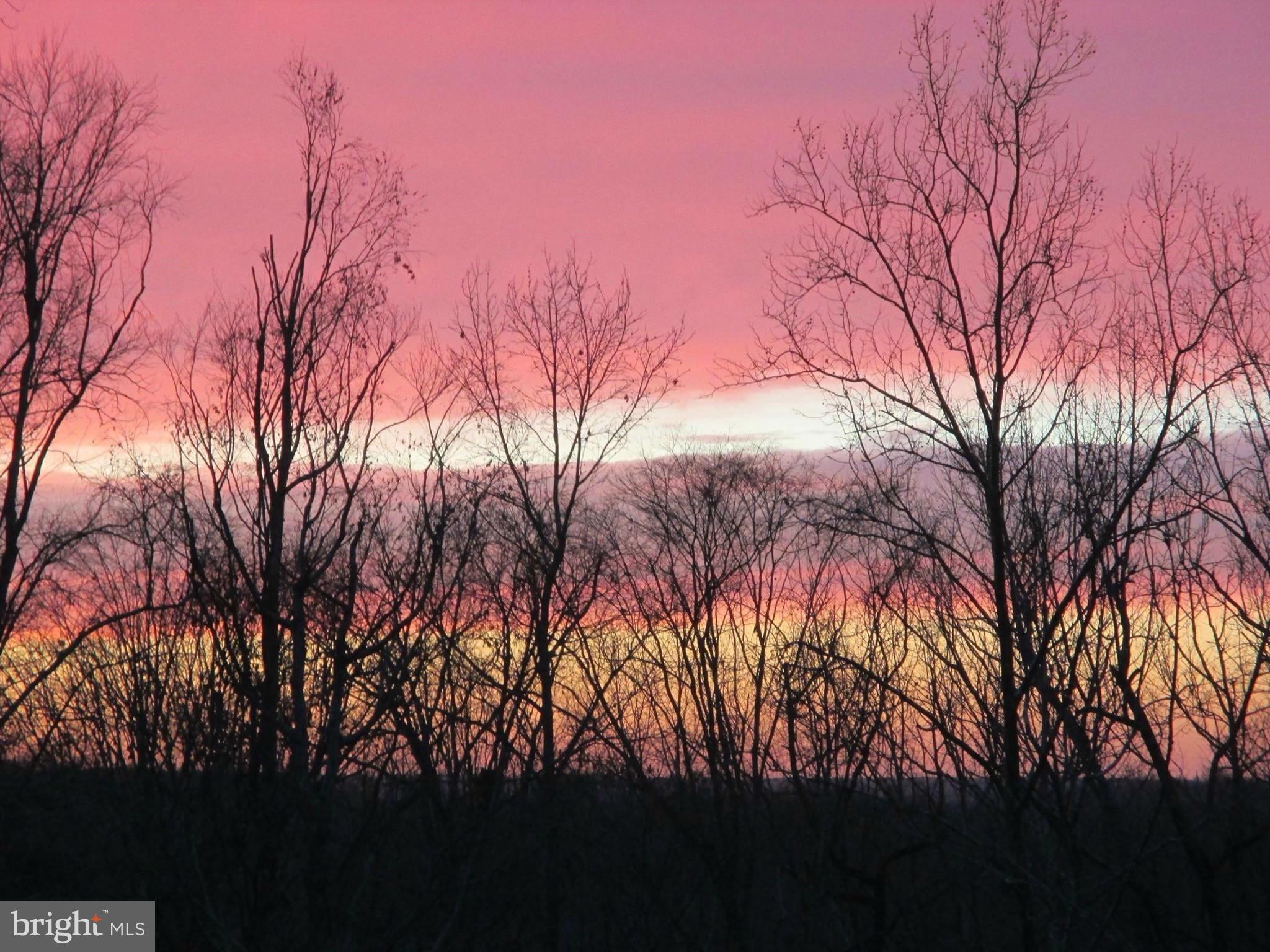 ALLEN FAMILY SUBDIVISION - Land