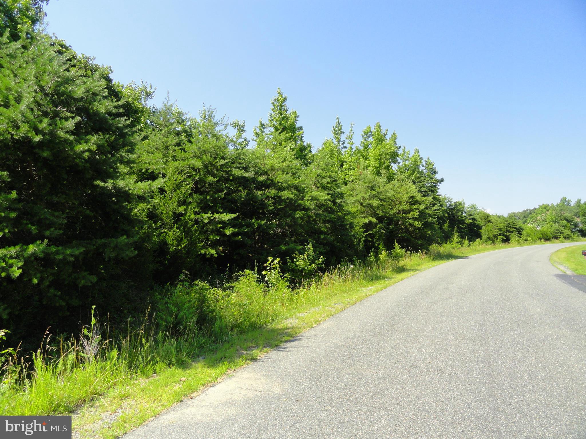 ALLEN FAMILY SUBDIVISION - Land