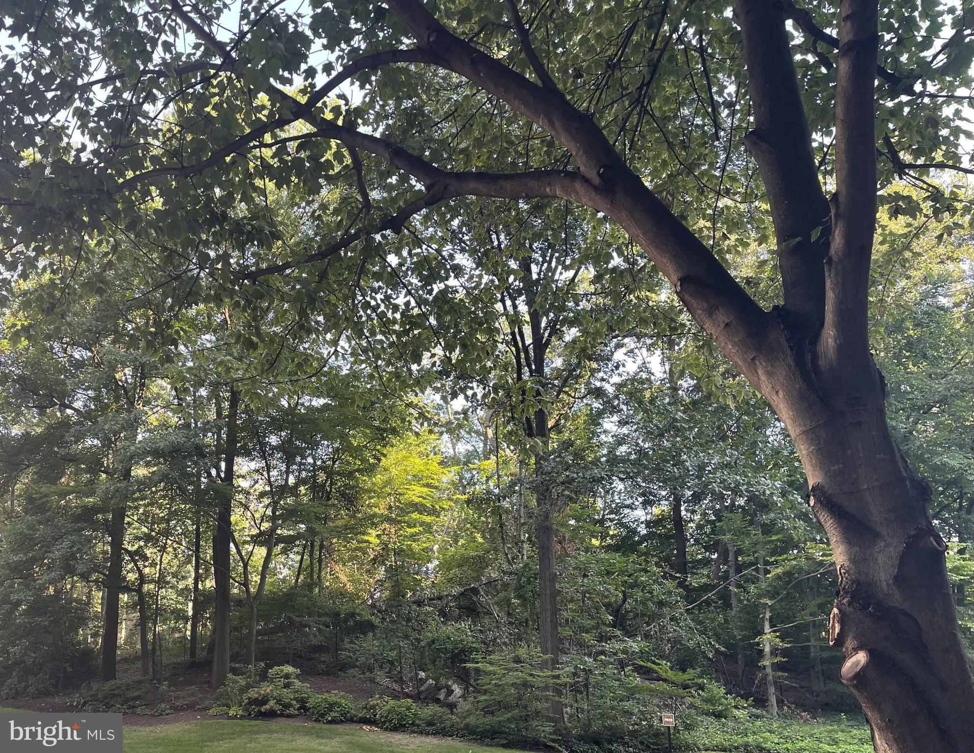 WATERGATE AT LANDMARK - Residential