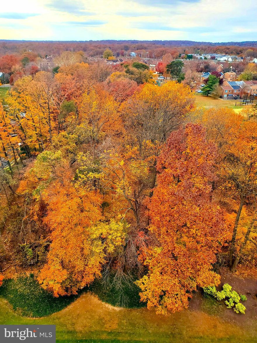 PENTHOUSE Your Oasis in the City! Welcome to this rare 2-bedroom 2-bath Penthouse located in the "Watergate at Landmark" luxury gated community in West End Alexandria. The 1,309 sf open floor plan boasts an unparalleled view overlooking both Stevenson Park and West Springfield. Watch the sunset on the horizon every day from its private balcony. (Quick access to the building’s rooftop terrace also gives a stunning 360-degree view of Alexandria!) Watergate at Landmark is a luxury gated community that sits on 35+ Acres with extensive landscaping, paths, mature trees, and gardens. Premium Assigned Garage Parking Space conveys along with an additional unreserved space in the open parking lot. Monthly parking fees are separate. Monthly payment includes electricity, water, sewer, trash, recycling, and Master Insurance Policy. Each home owns and controls its individual residential heating and air conditioning system. The 2-bedroom and 2-bath penthouse boasts a generous 1,309 sf open-floor plan plus an extra three large closets (and one linen closet) as well as extra storage within the building. Remodeled Kitchen with White Cabinetry and Stainless Steel Appliances, Quartz Countertops, and Ceramic Tile Flooring. Living/Dining Rooms and bedrooms have luxury engineered wood flooring. All of the Watergate’s Resort-style Amenities are included in the monthly condo fee. It’s luxury amenities include a sprawling Outdoor Pool with a waterfall, separate lap-lanes, and diving areas. Enjoy multiple social areas with Gazebos, mile-long Jog/Path, Outdoor lighted Tennis Courts, Indoor Tennis Courts, Basketball Court, Pickle ball, Outdoor Volleyball area, Racquetball Clubhouse, Picnic Areas with Grills, Tot Lot, Indoor and Outdoor gathering areas, Fitness Center, Jacuzzi, Saunas, Indoor Pool with separate lap-lanes, Billiards, Ping Pong, Indoor Golf-driving, Outdoor Put-Put Green, Library, Community Center, Party rooms, Car Washing Area. Residents can also Conveniently Access the community center, fitness center, indoor pool, new convenience store and restaurant, dry cleaners, hair salon, etc. via the underground passageway. Residents can also take part in Fitness Classes and Organized Social Events for all ages. The complex is actively secured day and night with two gated entrances and mobile guards. Guests are welcome to visit with owner permission. An active HOA and residential management company ensure active maintenance as well as handyman services. A newsletter of events and notices is published weekly. Watergate at Landmark is minutes from the future Inova Hospital campus and the Landmark Mall redevelopment project. Residents have easy access to parks like Ben Brenman and Holmes Run, local farmers markets, and multiple major grocery stores. Nearby Duke Street and Van Dorn offer a diverse mix of international markets, casual restaurants, and everyday conveniences. Ideally located just minutes from Washington, D.C., the Pentagon, Amazon HQ2, Reagan National Airport, Old Town Alexandria, and Fort Belvoir, this home combines luxury, convenience, and comfort in one of Northern Virginia’s most desirable gated communities.