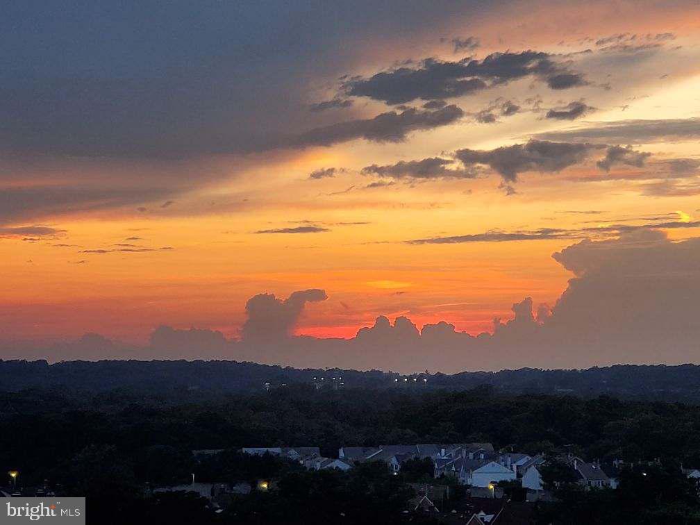 203 YOAKUM PARKWAY 1807