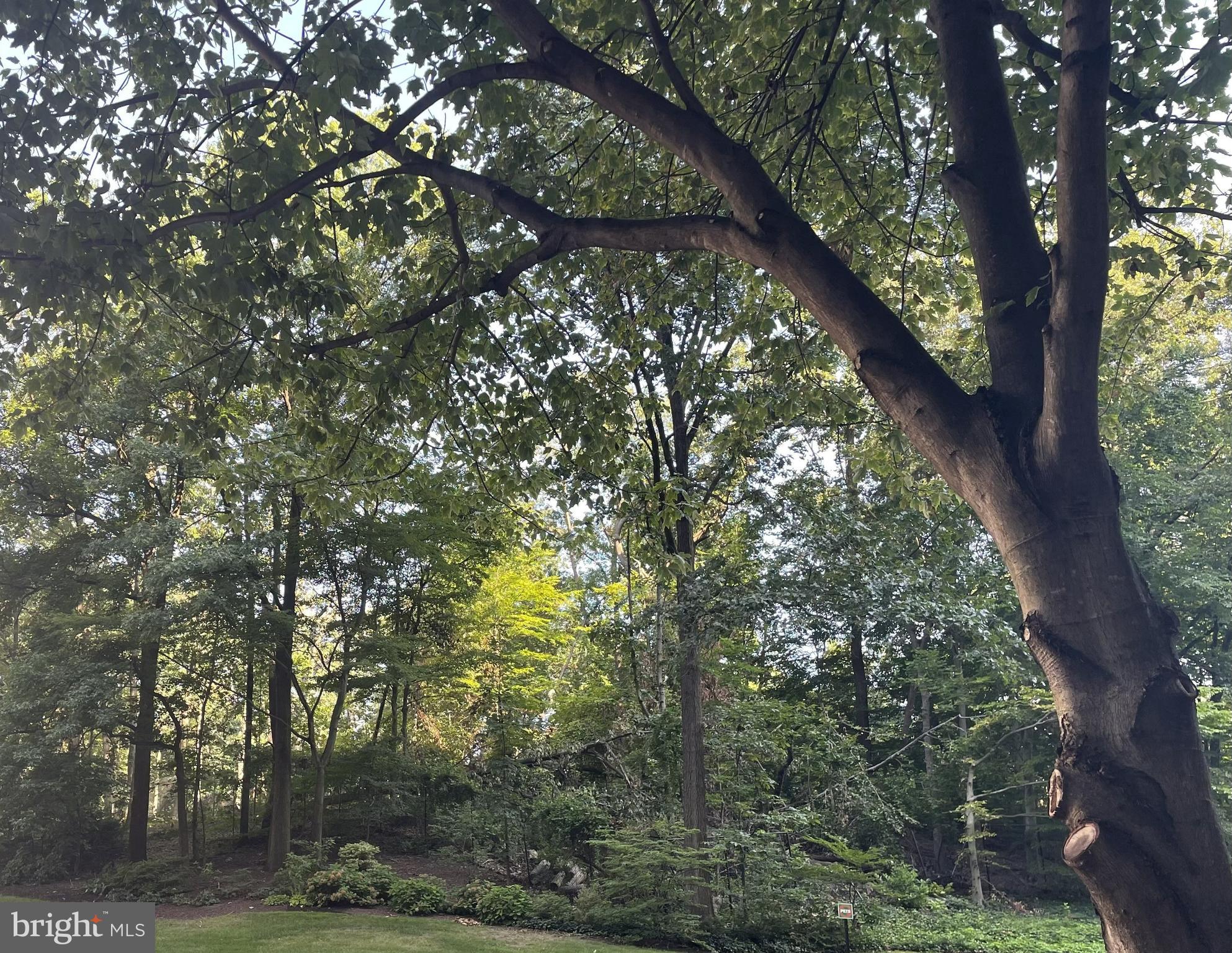 WATERGATE AT LANDMARK - Residential