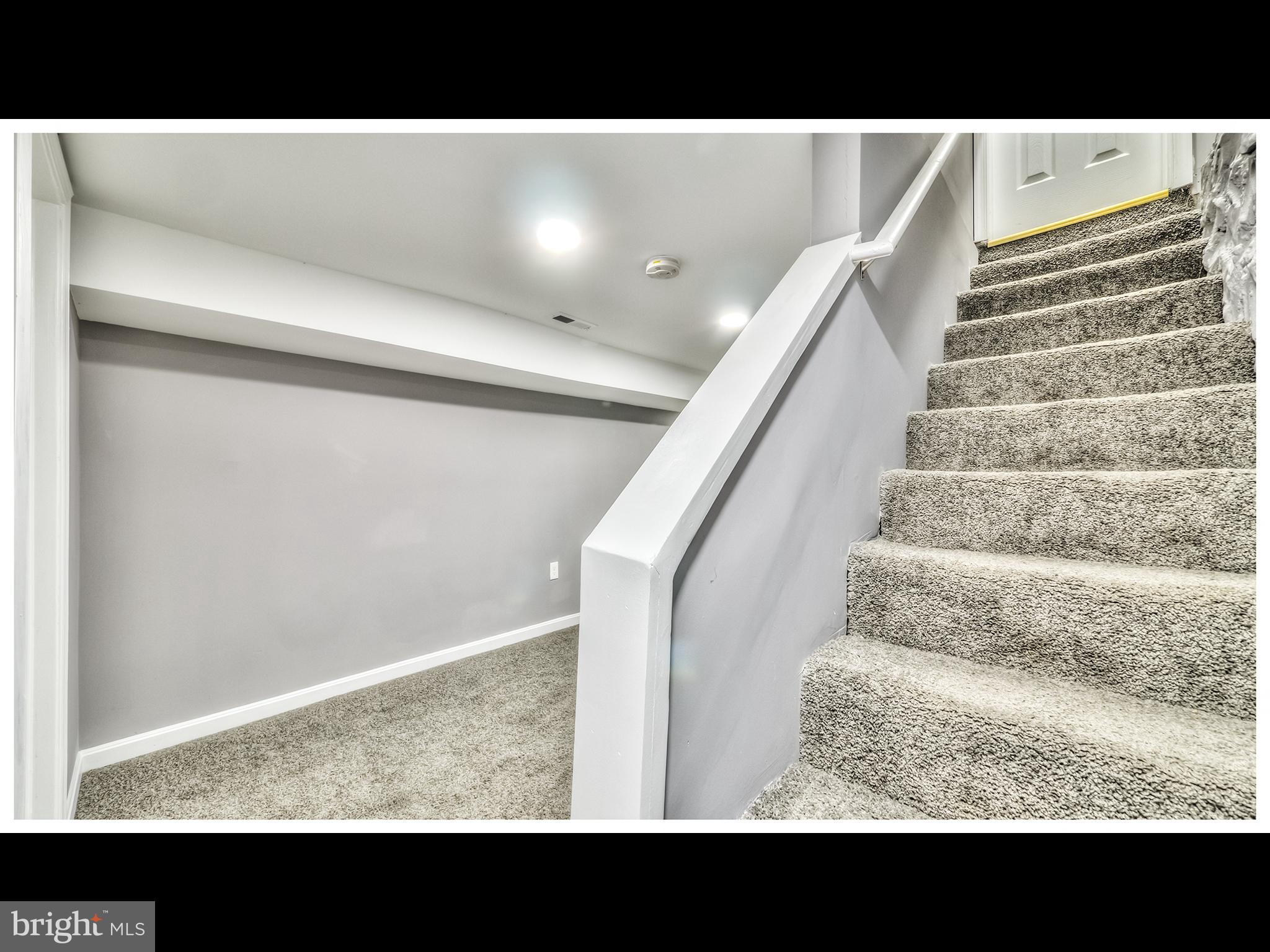 DRUID HILL PARK - Residential