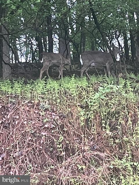 LEWISTOWN BORO - Residential