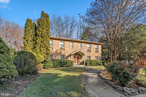 4113 N RIVER STREET MCLEAN VA 22101