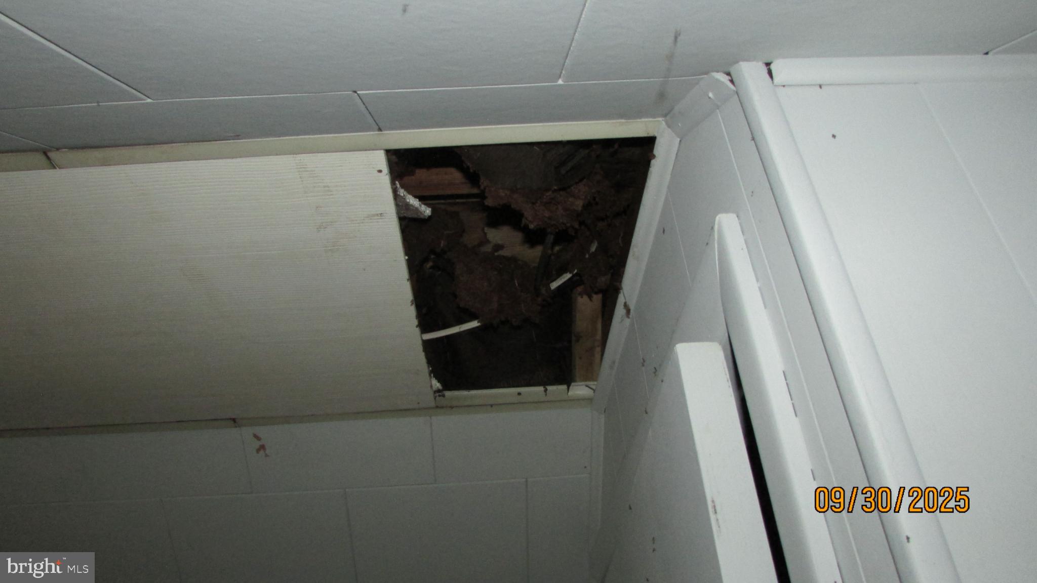 CALVERT HILLS - Residential