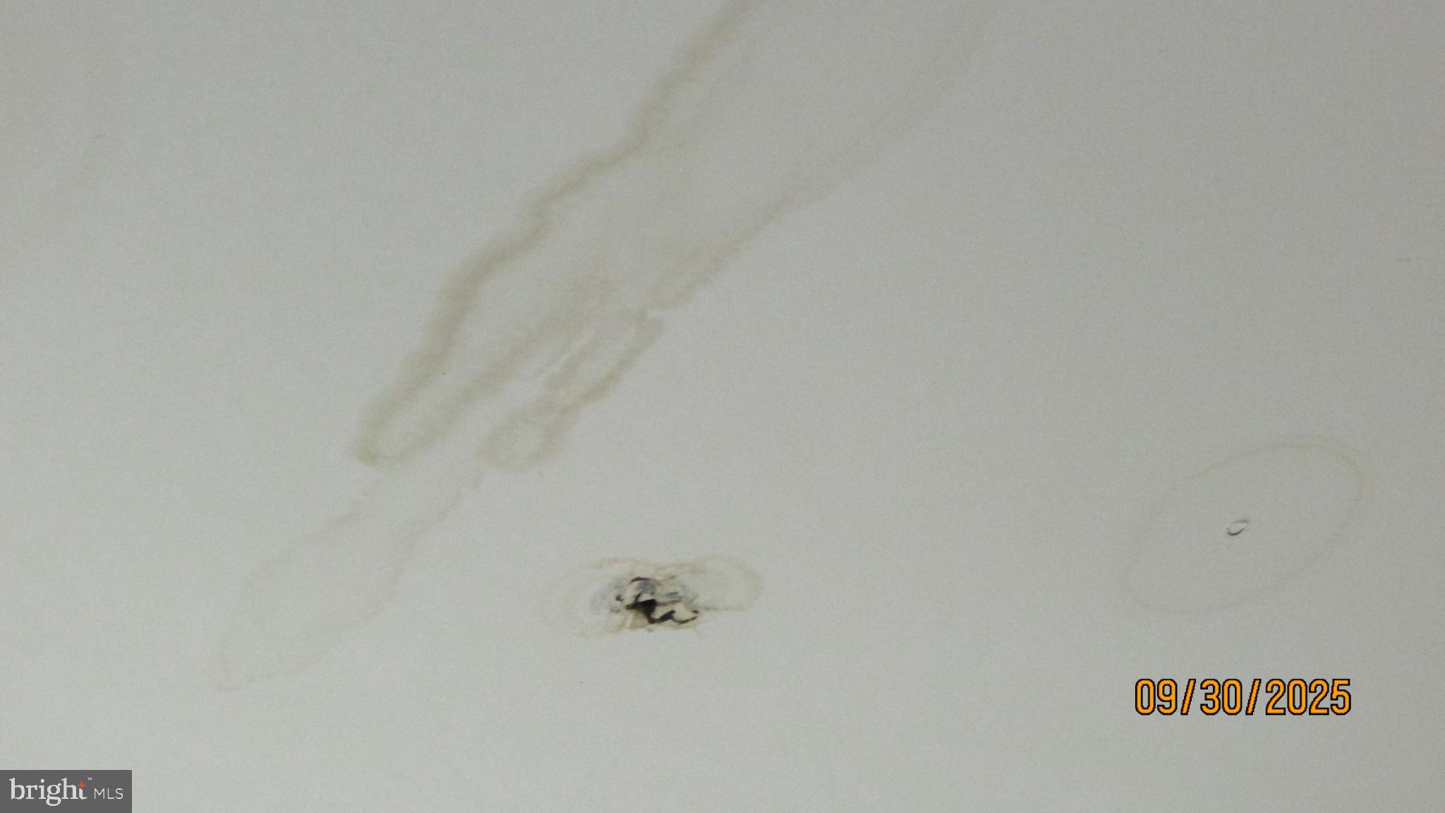 CALVERT HILLS - Residential