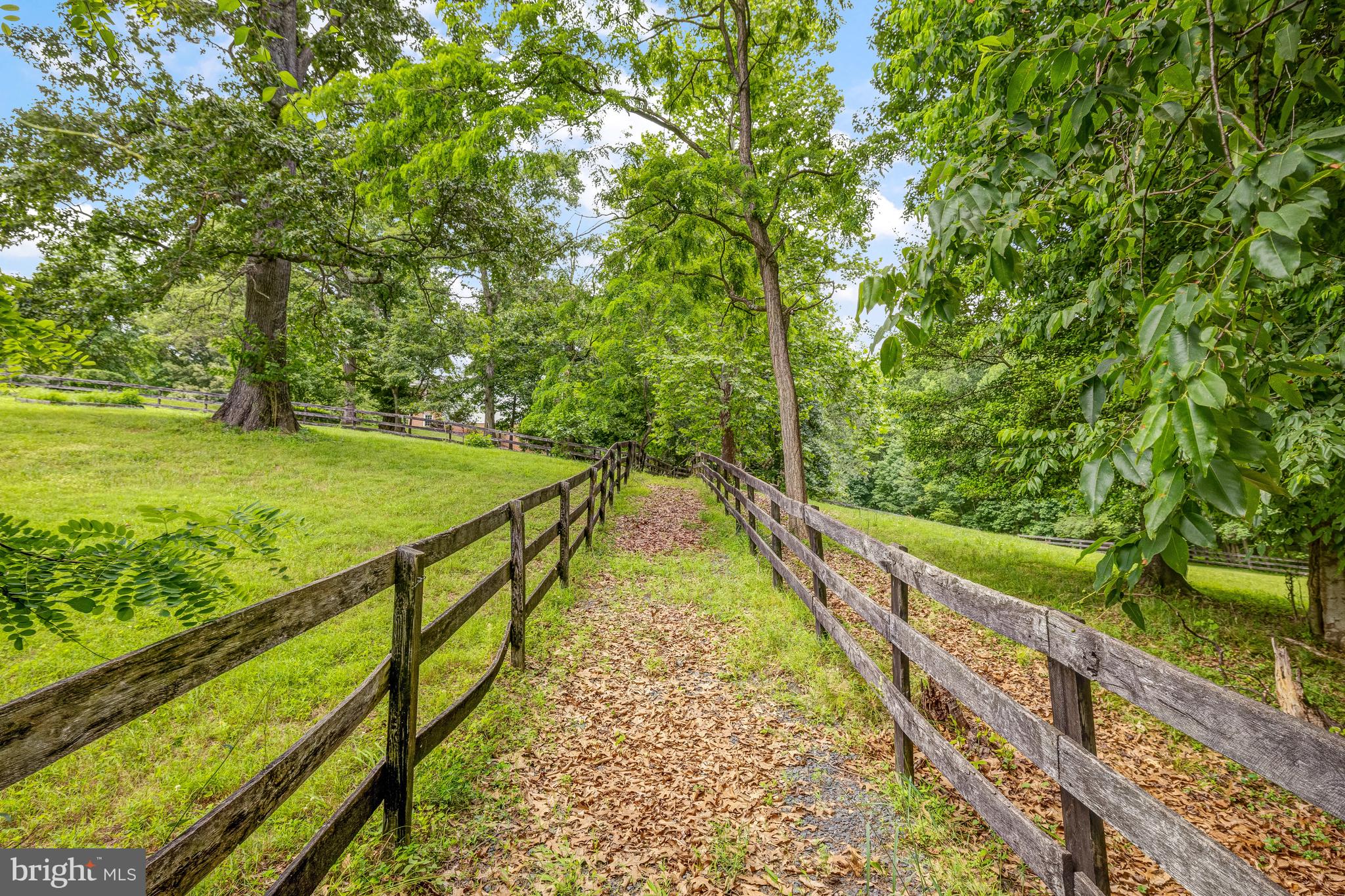 TALLY HO - Residential