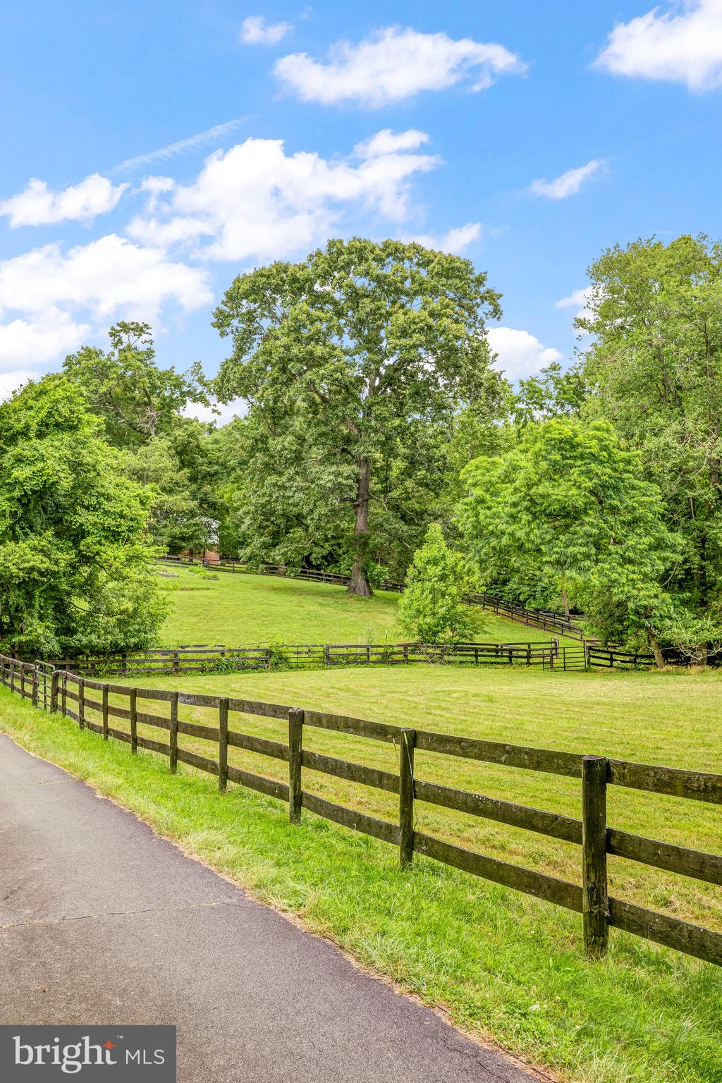 TALLY HO - Residential