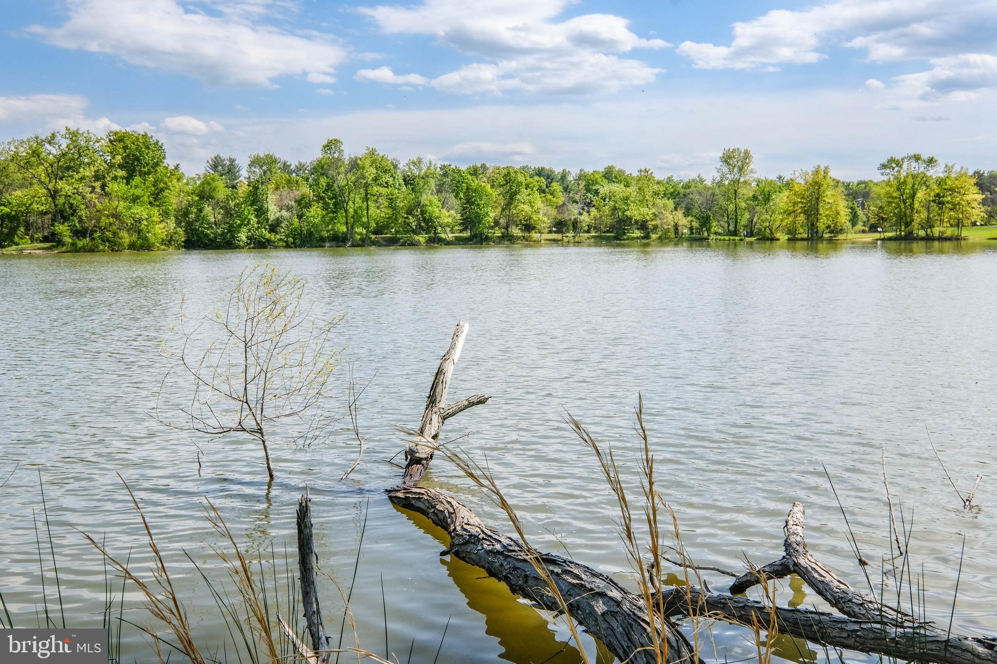 LAKE VIEW - Residential