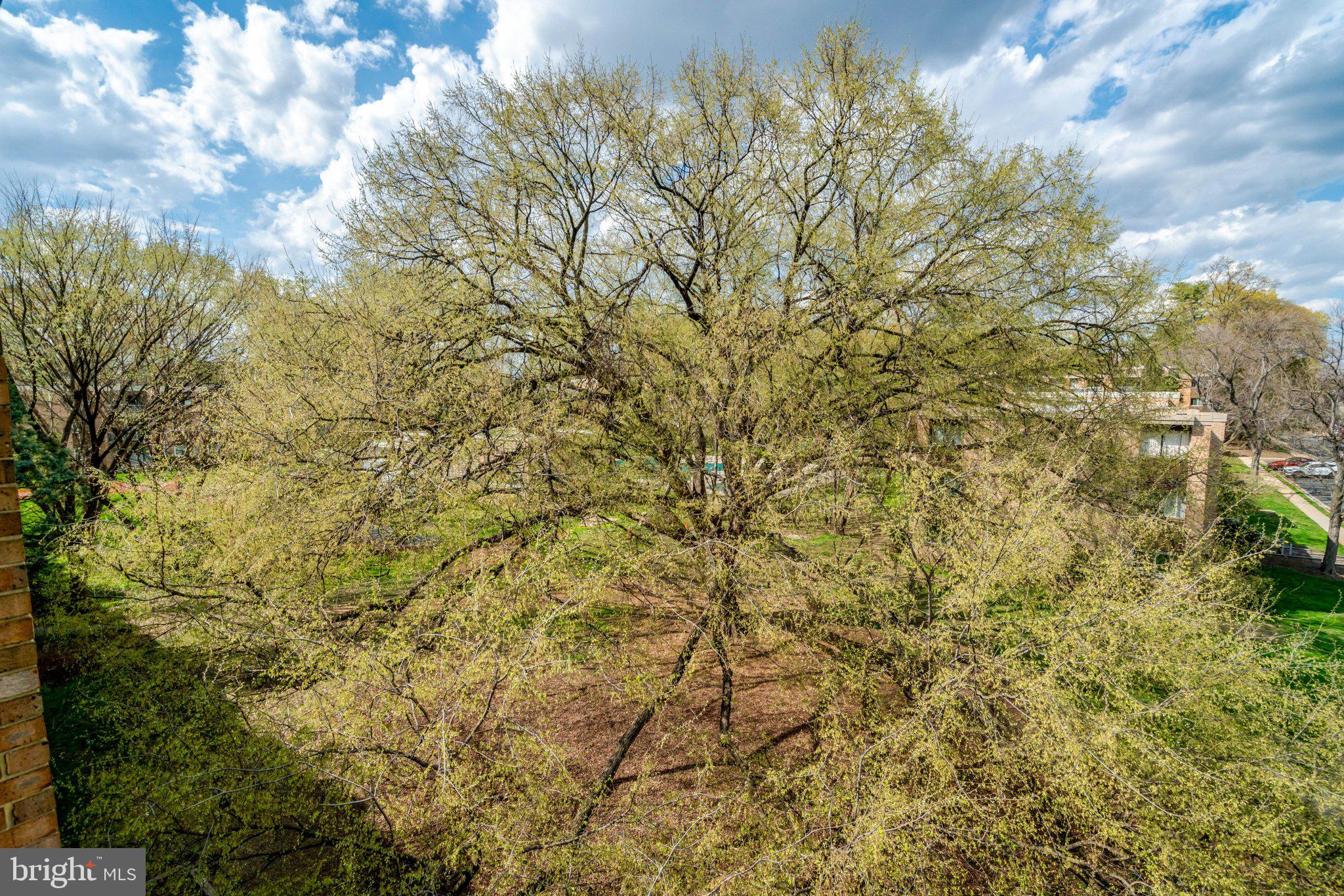YORKTOWNE SQUARE - Residential