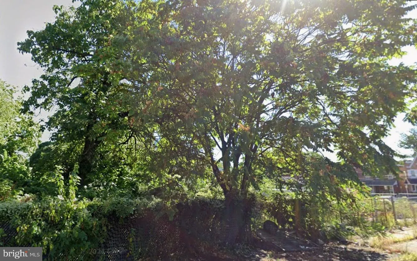 Chester, Pennsylvania 19013, United States, ,Land,Active,247060