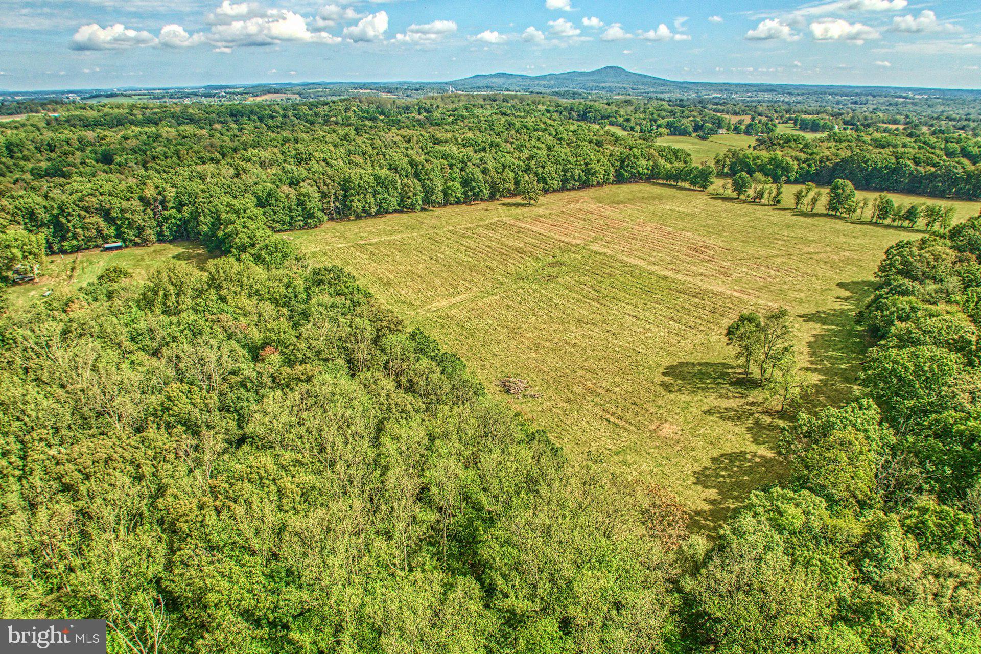 LUCKETTS - Residential