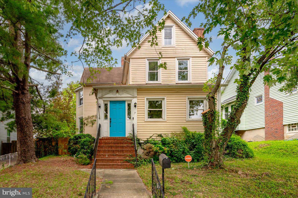 7 CHESLEY AVENUE