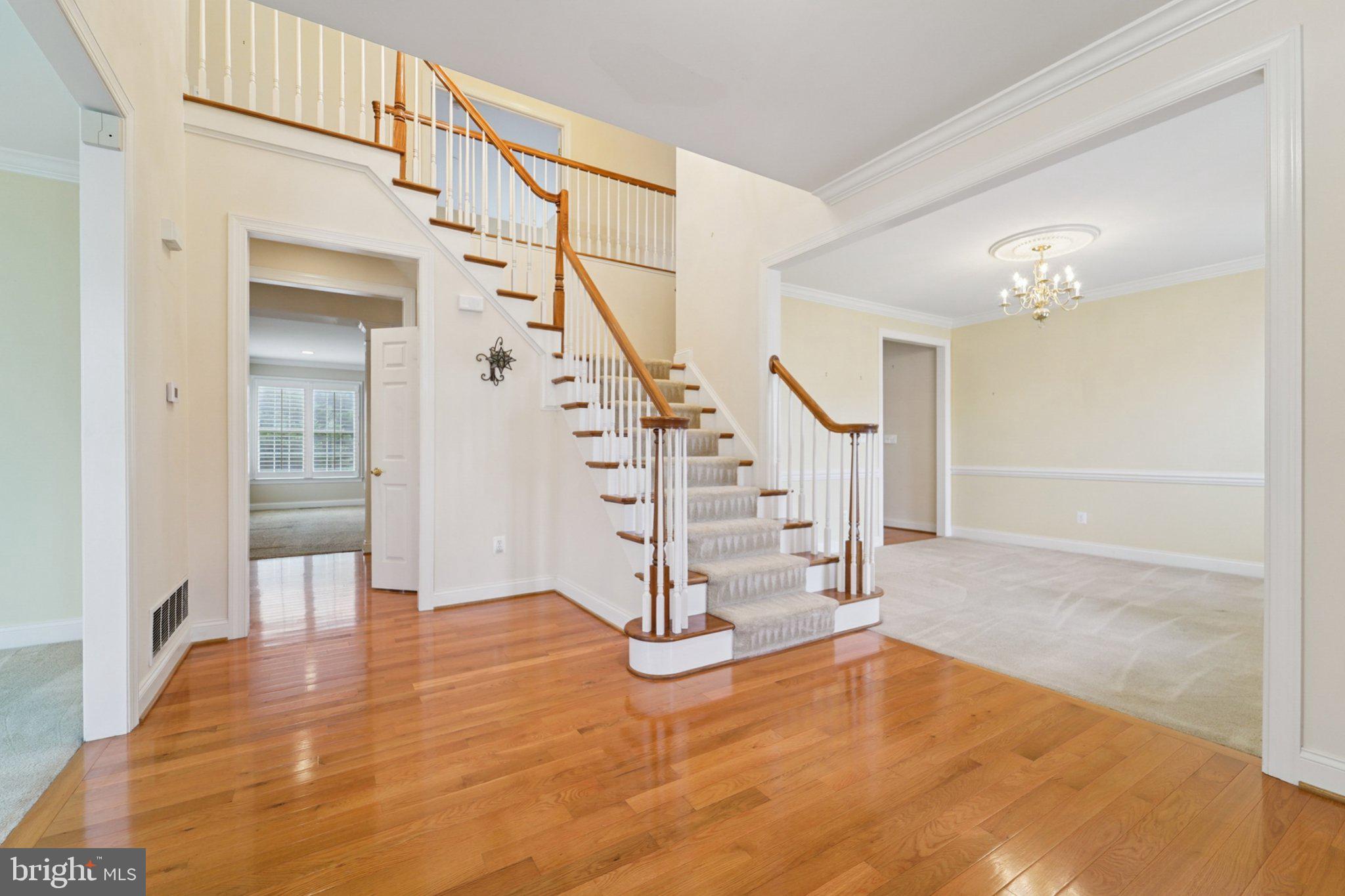 8236 CHAMPION COURT
