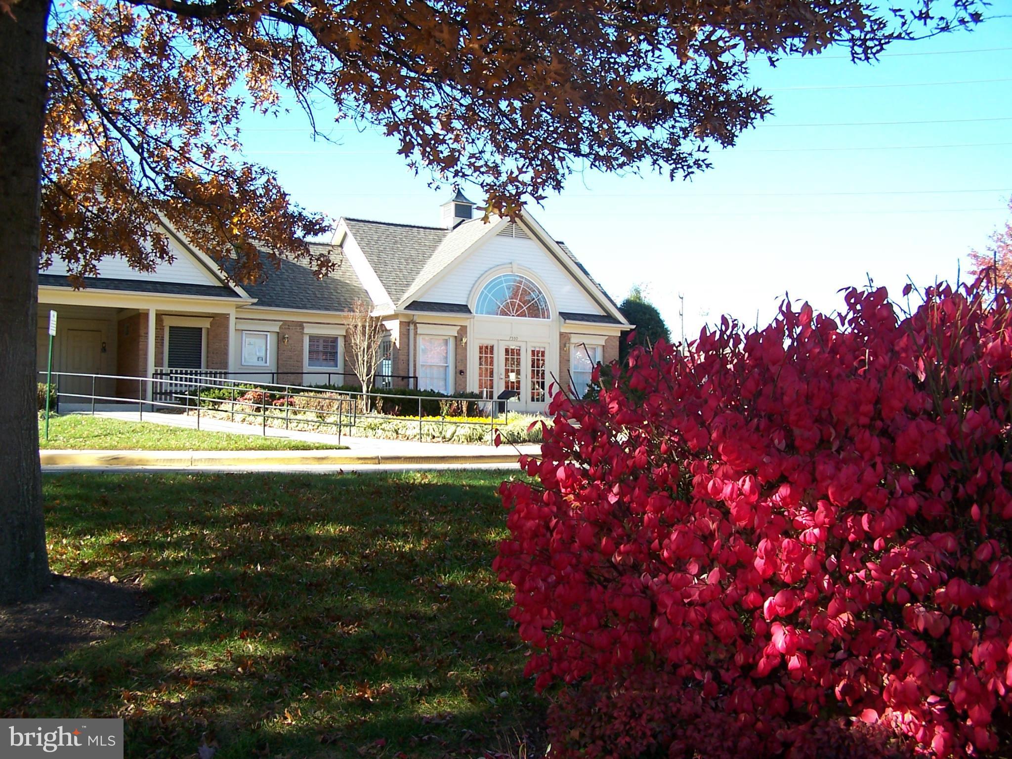 ISLAND CREEK - Residential