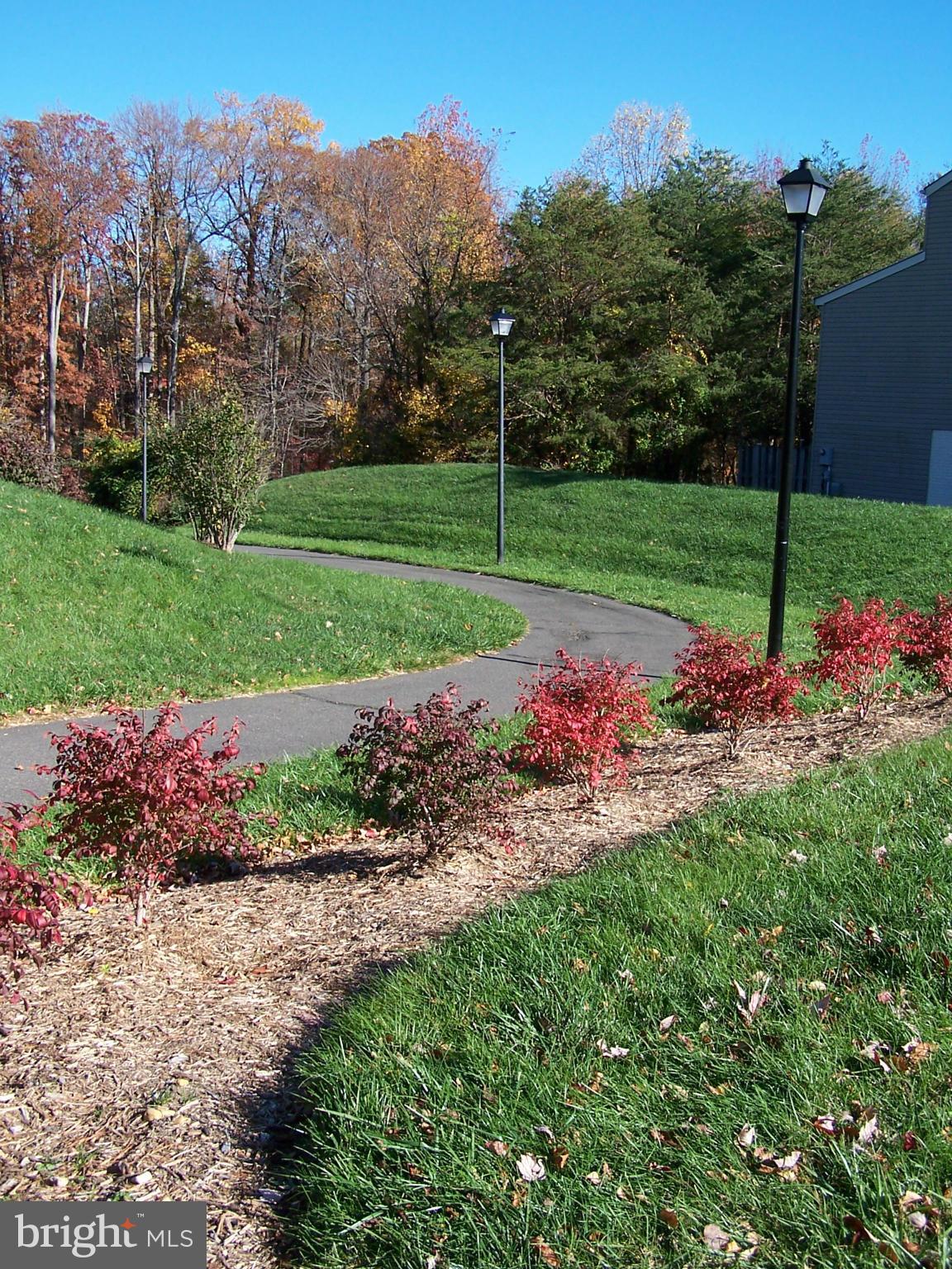 ISLAND CREEK - Residential