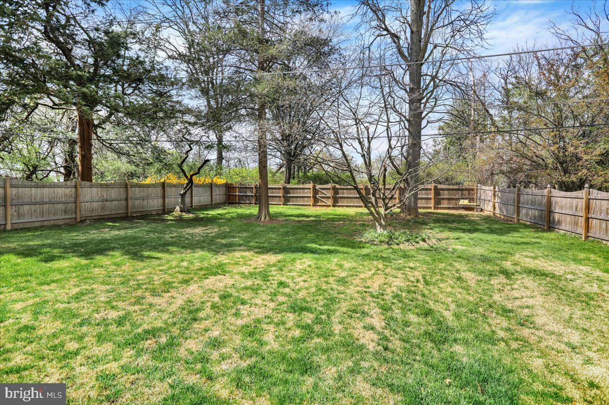 WYOMISSING PARK - Residential