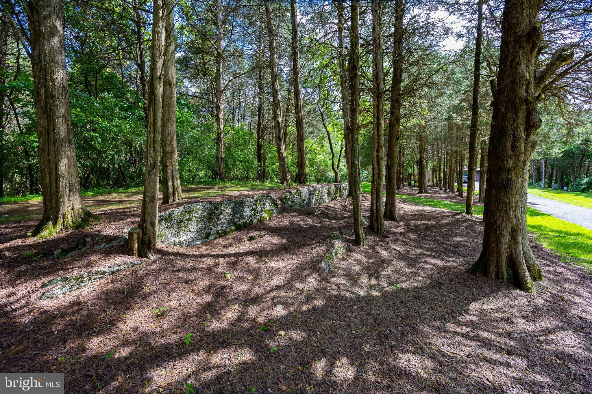 CEDAR LANE FARM - Residential