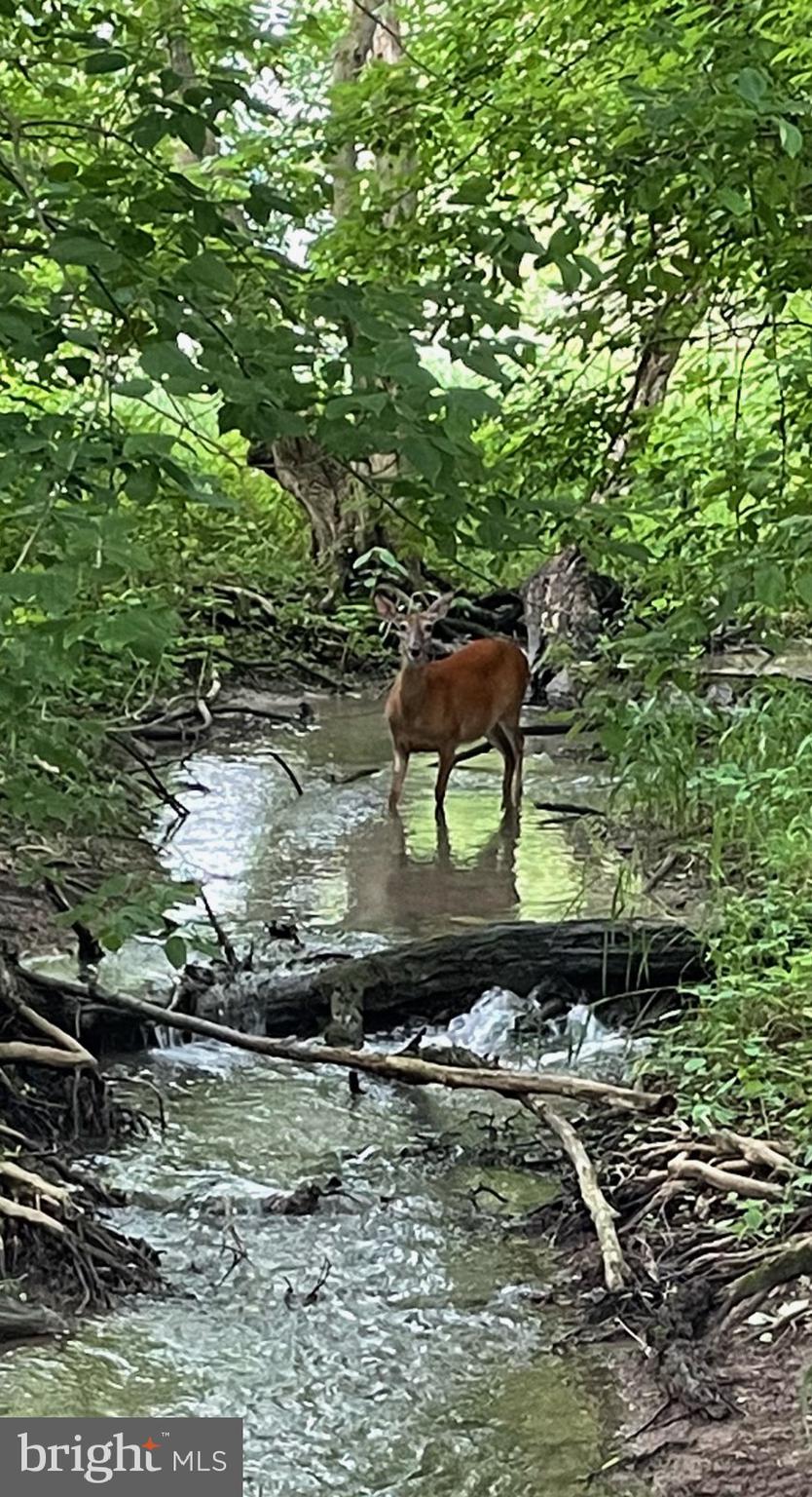 CEDAR LANE FARM - Residential