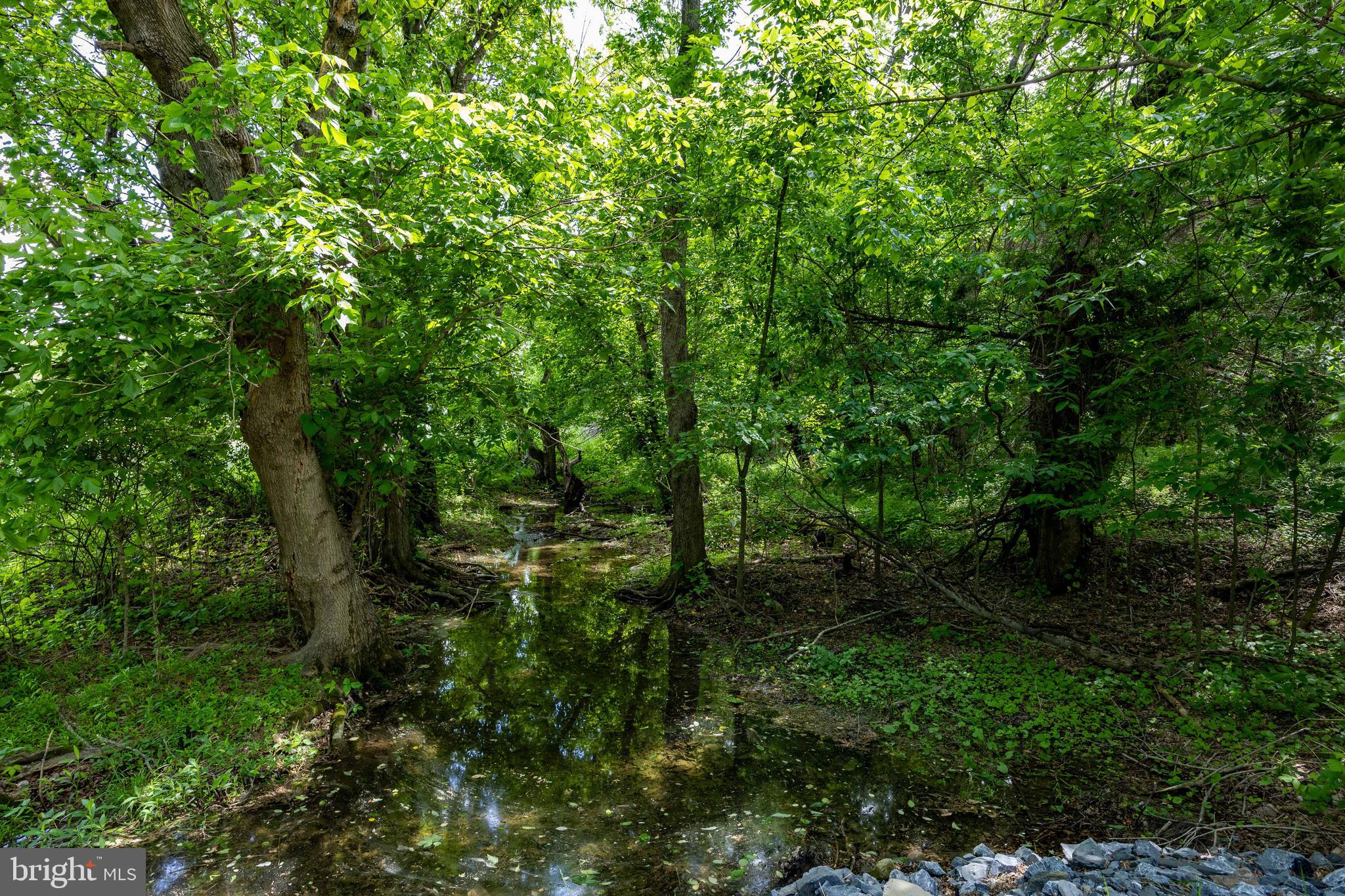 CEDAR LANE FARM - Residential