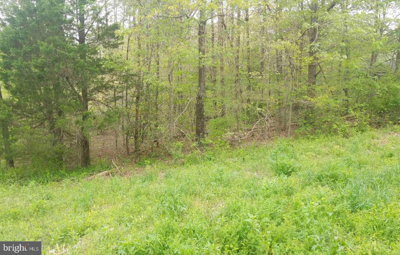 MCDUFF - Residential