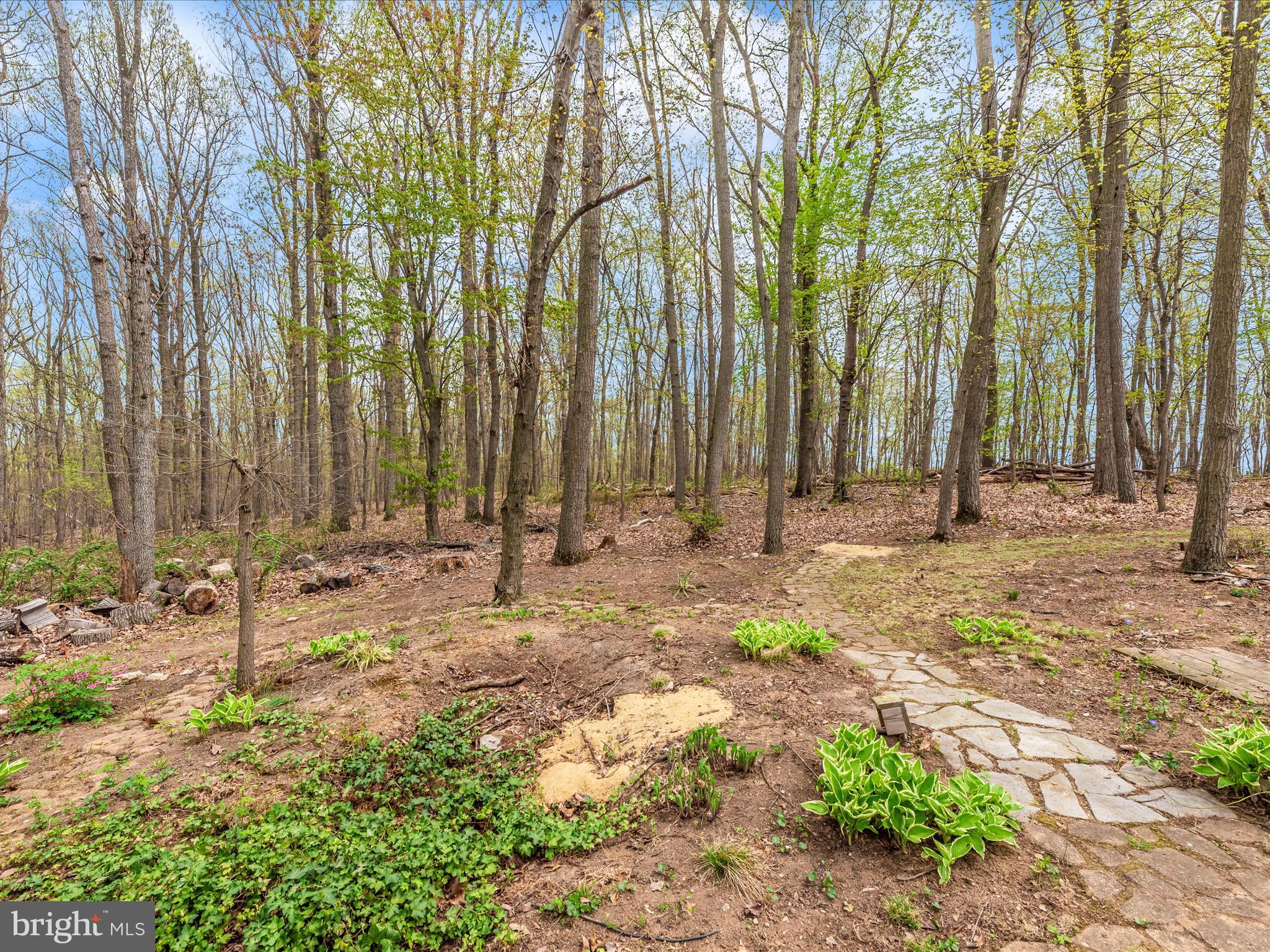 MANCHESTER ELECTION DISTRICT - Residential