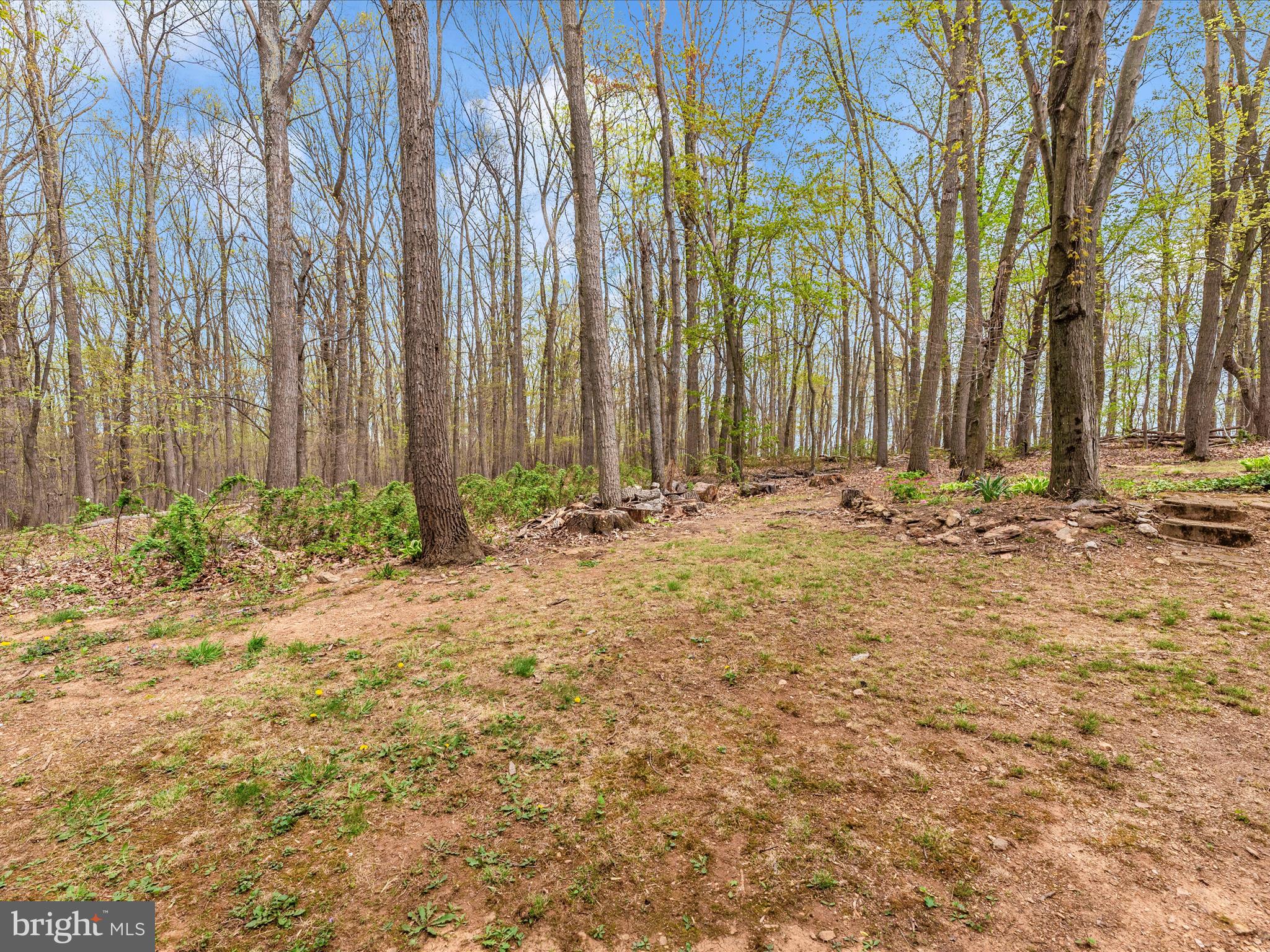 MANCHESTER ELECTION DISTRICT - Residential