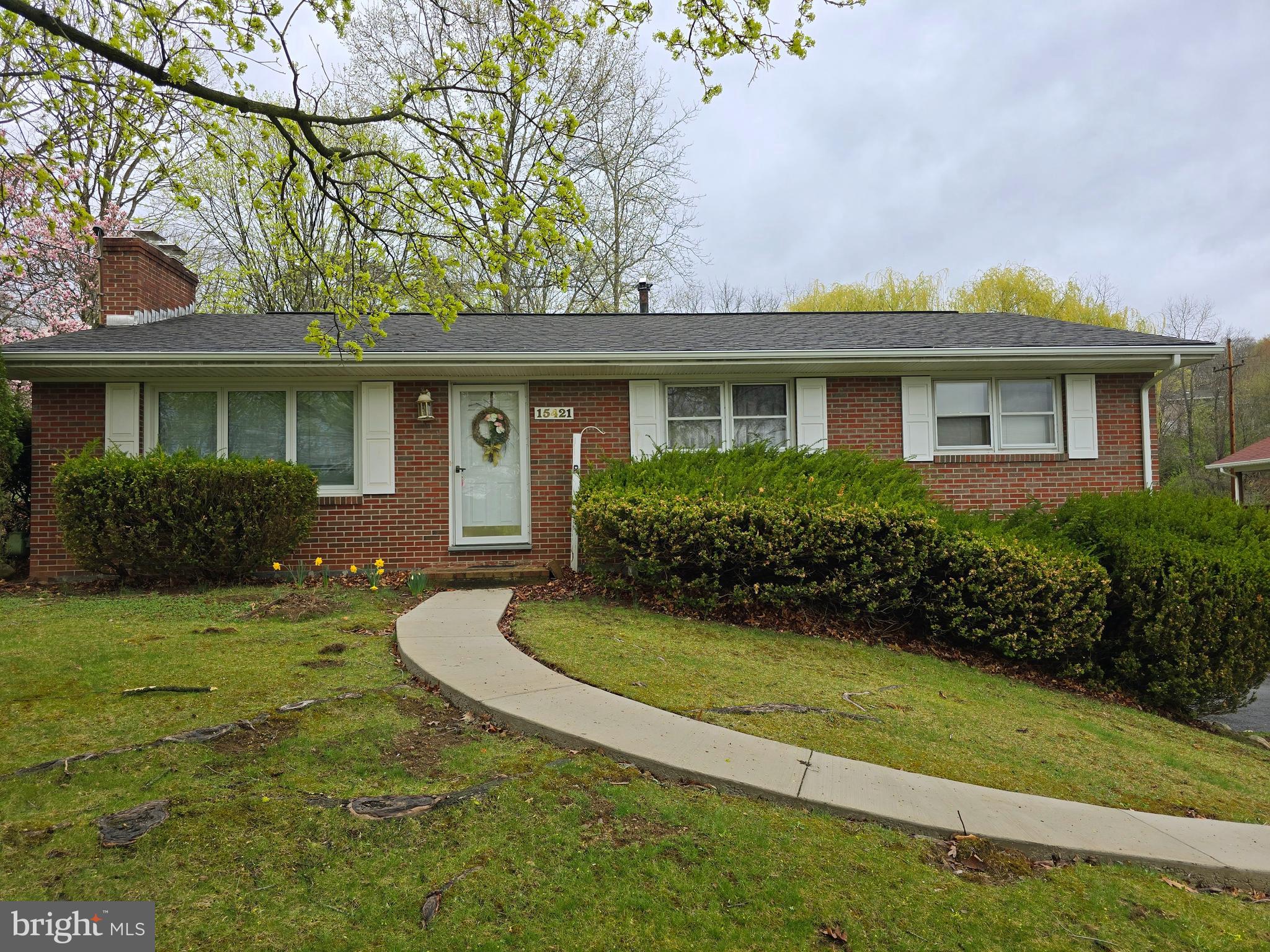 15421 SHAMROCK