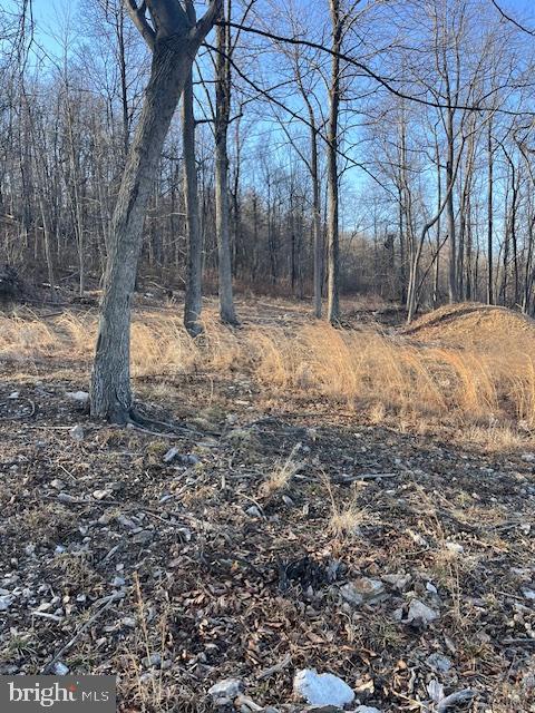 CANNON HILL HEIGHTS - Land