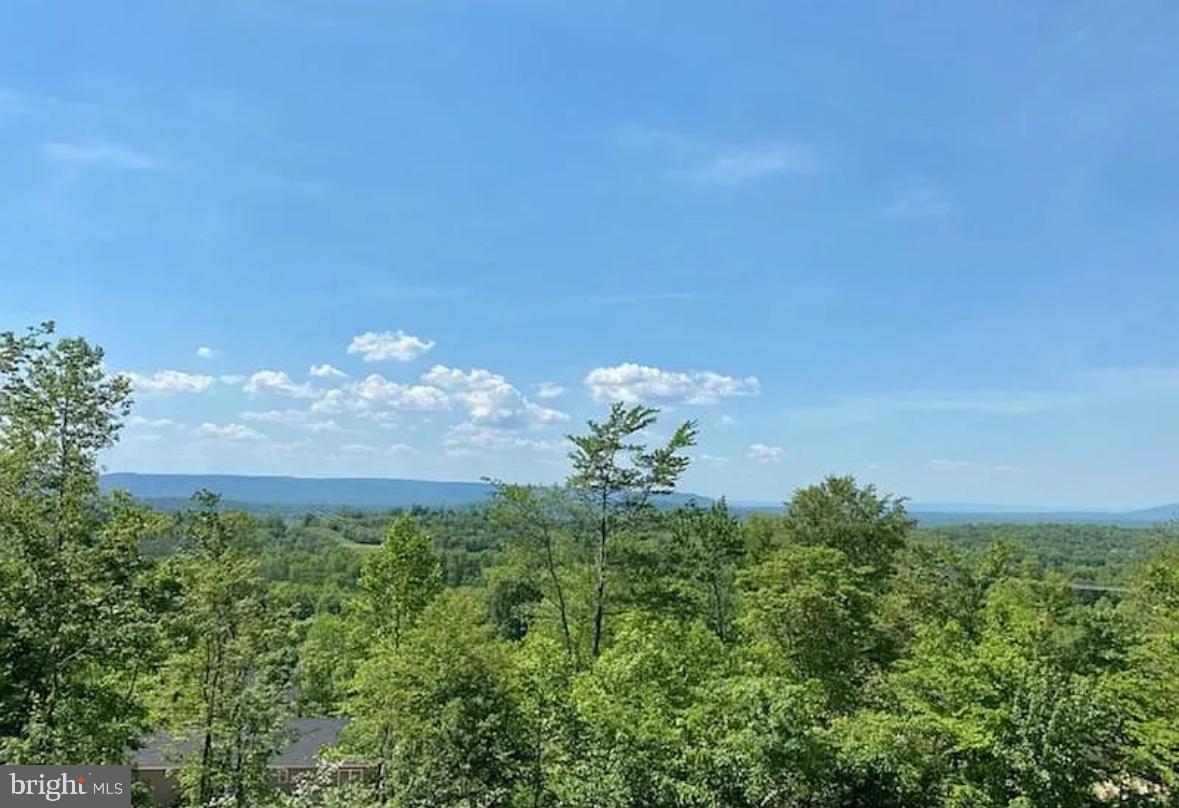 CANNON HILL HEIGHTS - Land