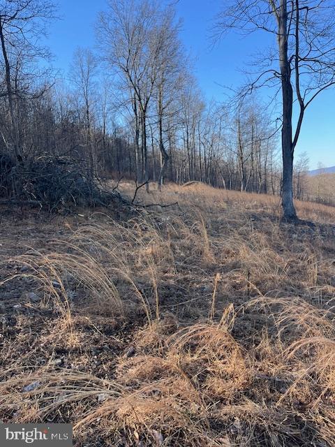 CANNON HILL HEIGHTS - Land