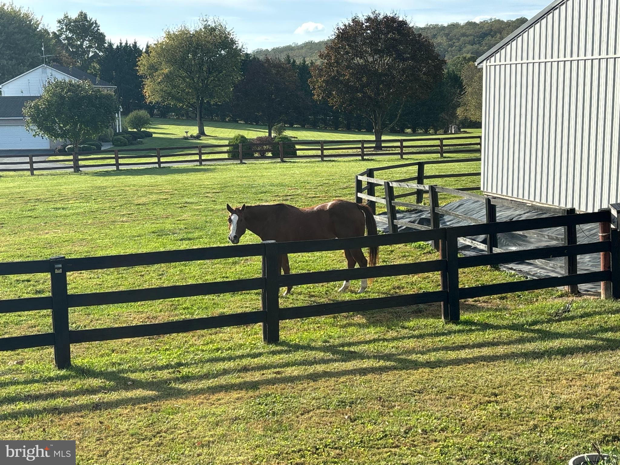 OAK HILL FARMS - Residential