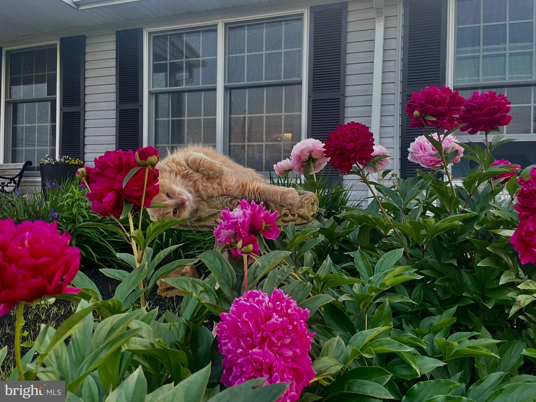 OAK HILL FARMS - Residential