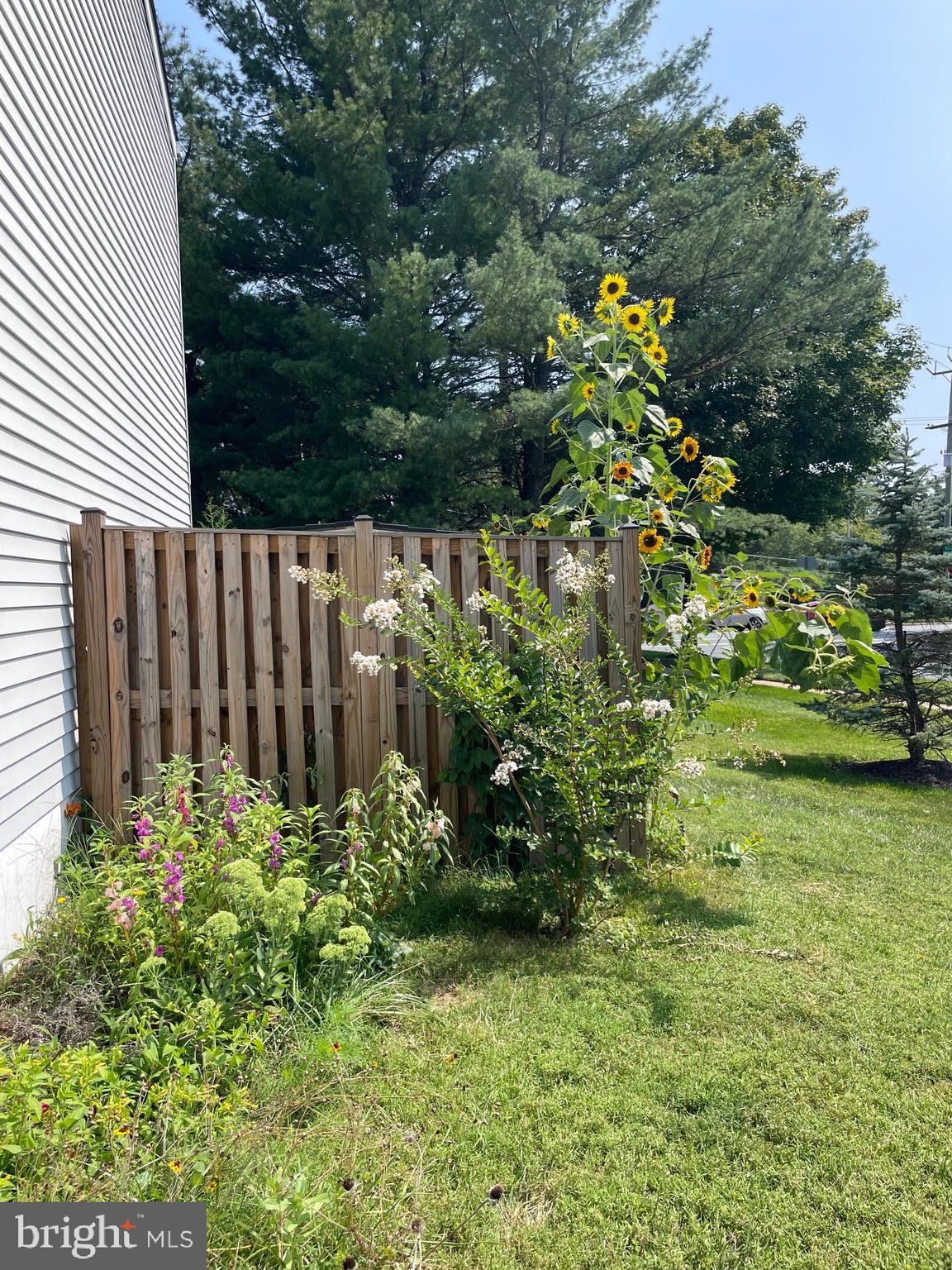 PARK OVERLOOK - Residential