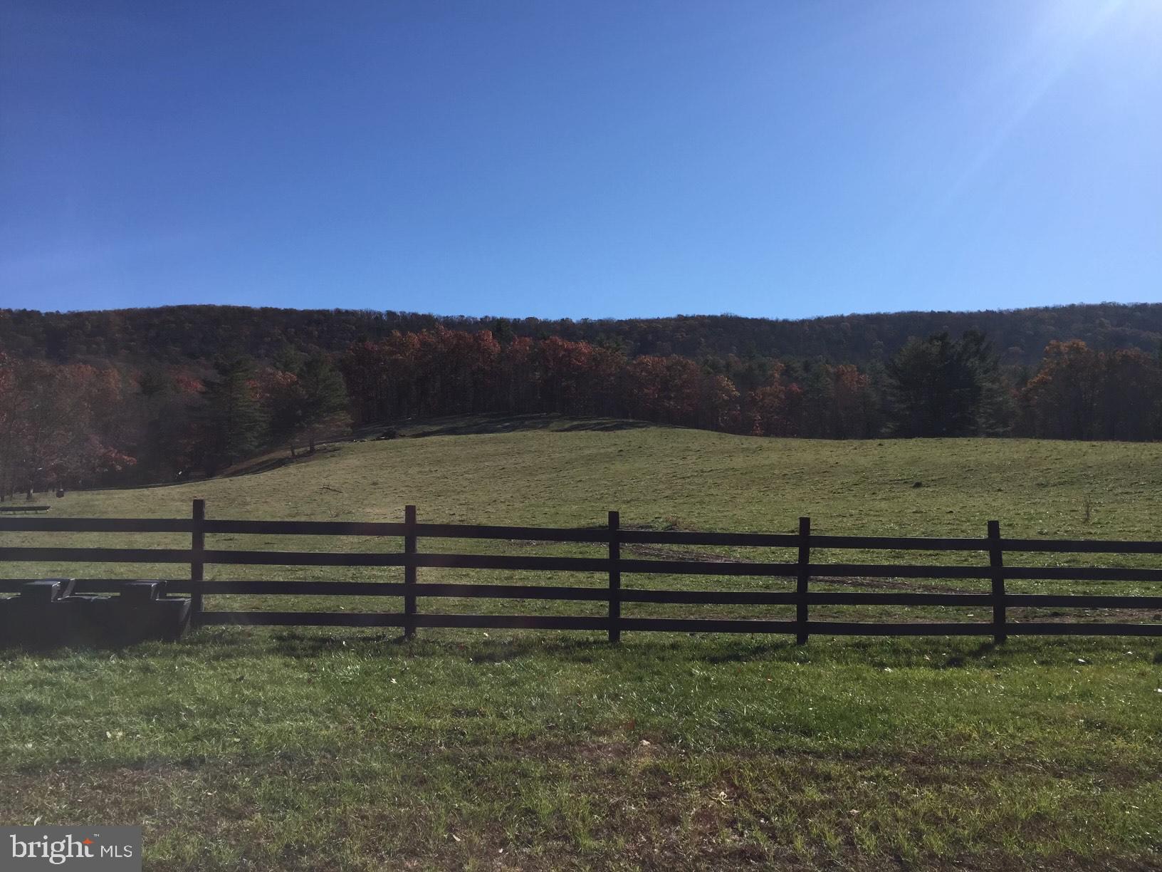 19442 RUNIONS CREEK ROAD