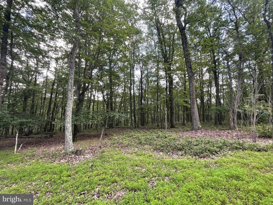 Thinking of building that dream home in the next few years?  Well then don't wait to secure that perfect lot in this beautiful community with public water and sewer connections available for each lot.  124 Spring Mountain Drive is a 1.1 acre lot in the COVE VILLAGE COMMUNITY.   Perched atop the mountain, this lot slopes and terraces at the rear, allowing for a walkout basement overlooking the hollow below.  It's also possible to purchase the adjoining lots behind and on one side.   This would make it possible to clear and see straight to the next ridge.  You could easily own over 2-3 acres at an amazing price.    You'll be able to afford to build your second home or your forever home on an expansive lot!   Larger than the average community lot, envision building your perfect home here.   The Cove Village Community is situated in the foothills of the Poconos and only 1 1/2 hours to New York,  With easy access to I-81, your commute to Hazleton, Wilkes Barre, or Scranton is a breeze.  Bring your own builder and let's get started,  750 acres of unoccupied prime hunting, ATV, and snowmobile riding land surround the residential portion of Cove Village and is allocated only for the residents of the community and their guests!  Driving through the community, the peace and tranquility will envelop you.  At any given moment the deer, turkey, and birds will entertain you in your own backyard.   Homes within the community vary from rustic cabins and chalets to traditional ranch or two-story homes and even exquisite new construction or dreamy mountain log homes.  There really is something for everyone.  The approximately 278 acres of residential homes and lots are occupied by full-time residents, part-time vacation homes, and even some snowbird second homes.  Cove Village offers an abundance of amenities including a swimming pool, stocked fishing lake, a basketball court, tennis courts, a volleyball court, 2 playgrounds, a baseball field, ATV paths, hunting, a mini golf course, walking paths, and year-round Community events.  I can't forget to mention the beautiful lodge ideal to rent for family gatherings.   This lot and community just might be exactly what you've been looking for.  Air B and B are not permitted. Camping on vacant lots is not permitted.  Mobile homes are not permitted.  The minimum square footage when building is 1400 square feet.  The community maintains the roads and snow removal.  Trash collection is also provided.   An appointment is required to view due to the gated community.  Call to schedule your tour today!