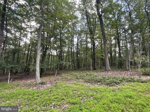 124 SPRING MOUNTAIN DRIVE ZION GROVE PA 17985