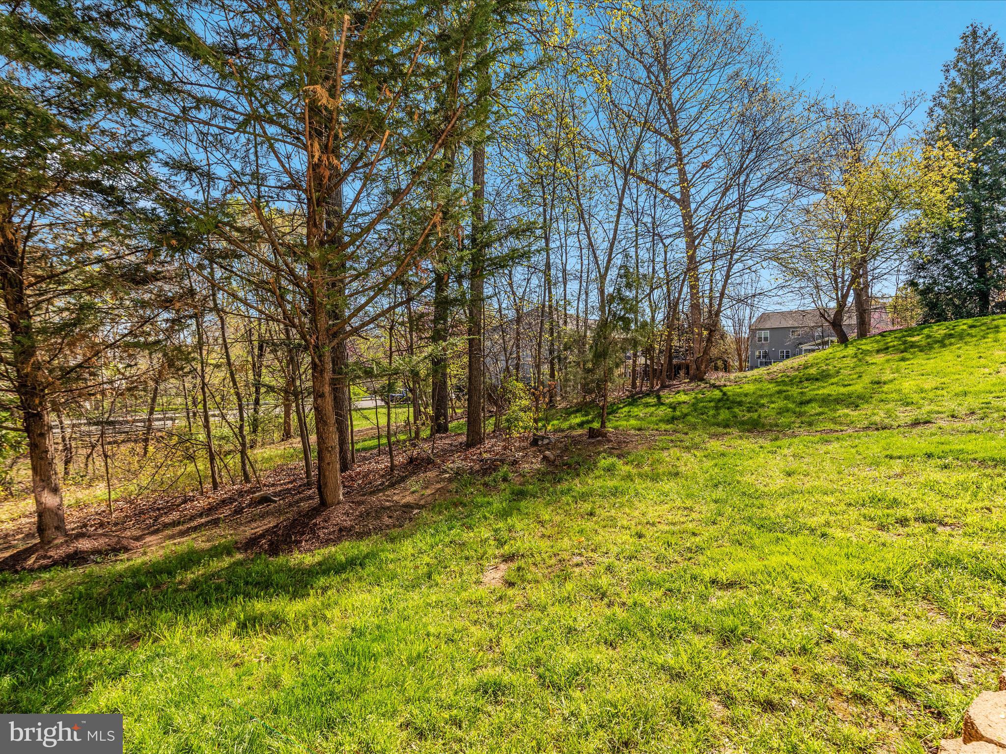 KINCAID FOREST - Residential