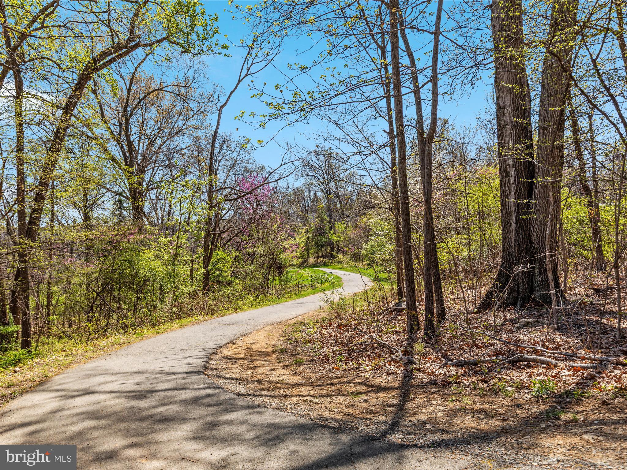 KINCAID FOREST - Residential