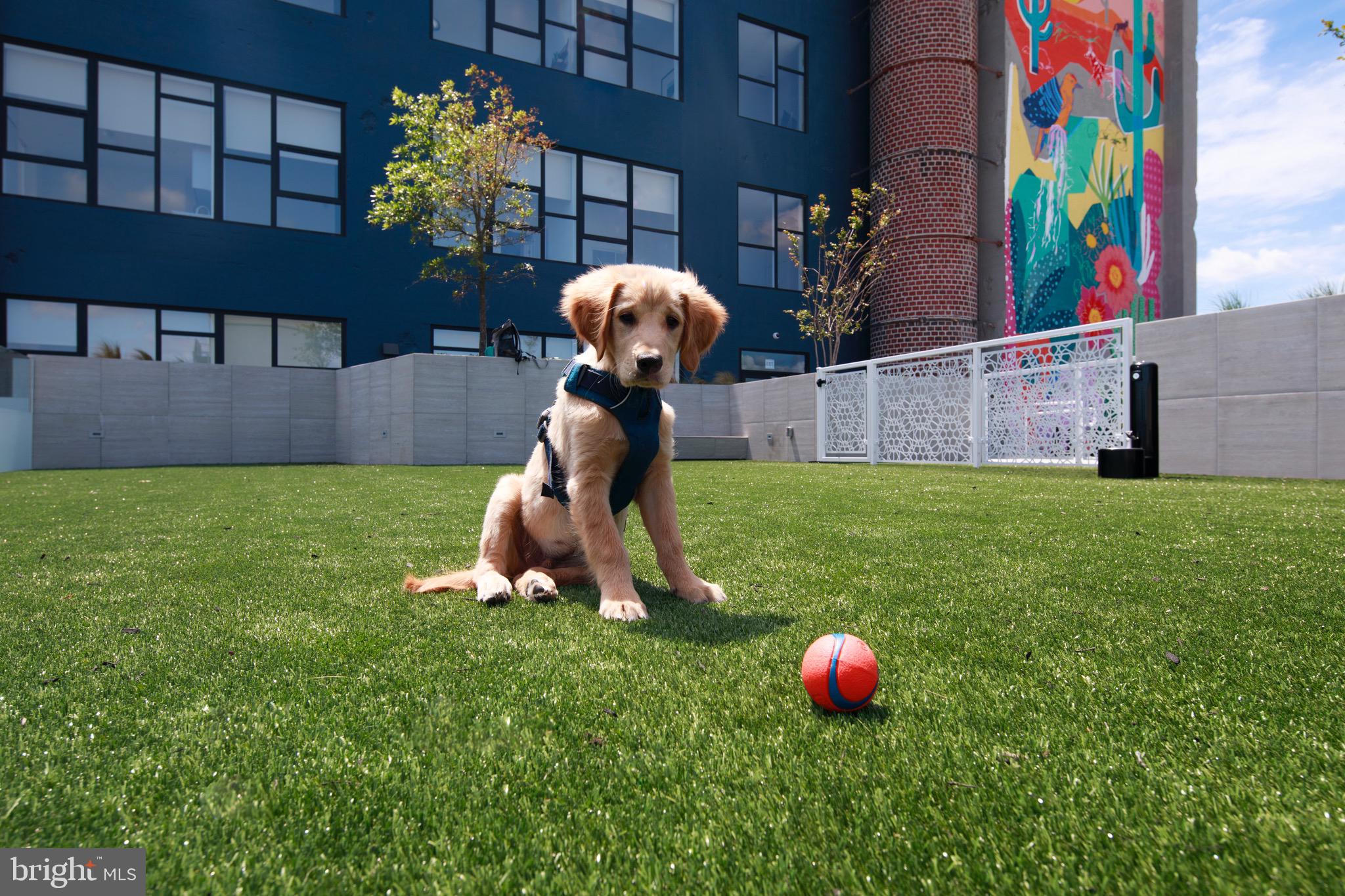 NORTHERN LIBERTIES - Residential Lease