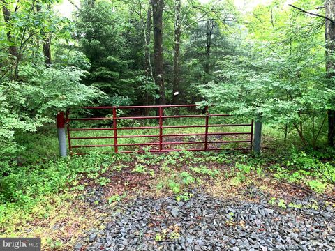 0 T 569 CRESCO PA 18326