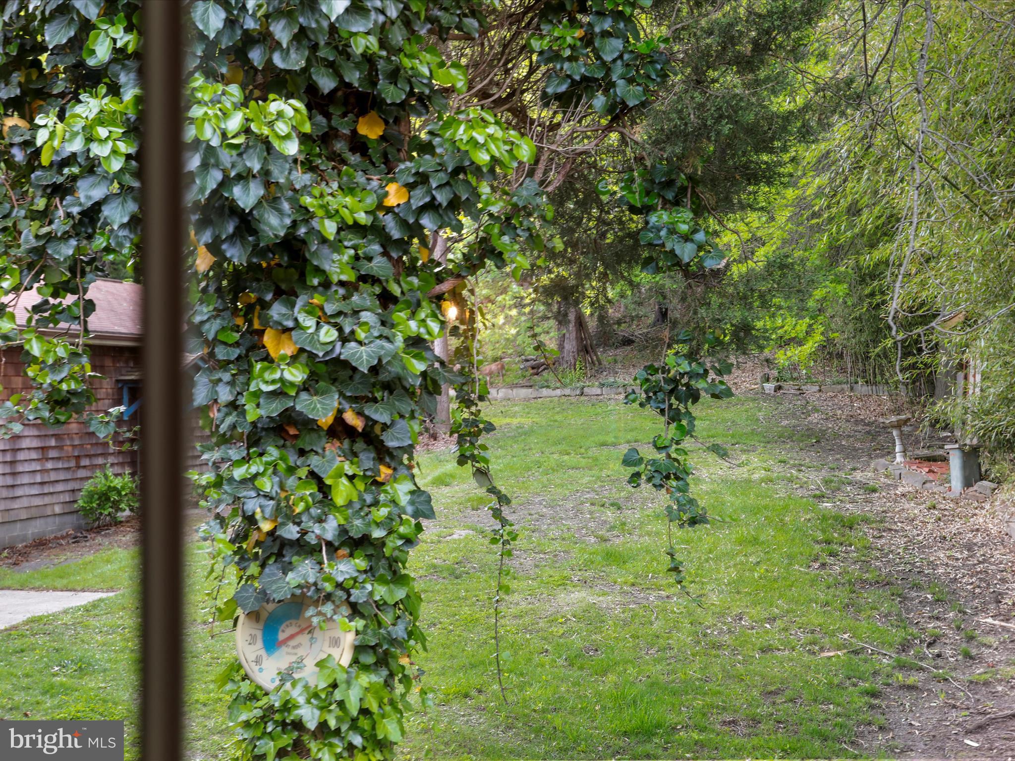 WEST END - Residential