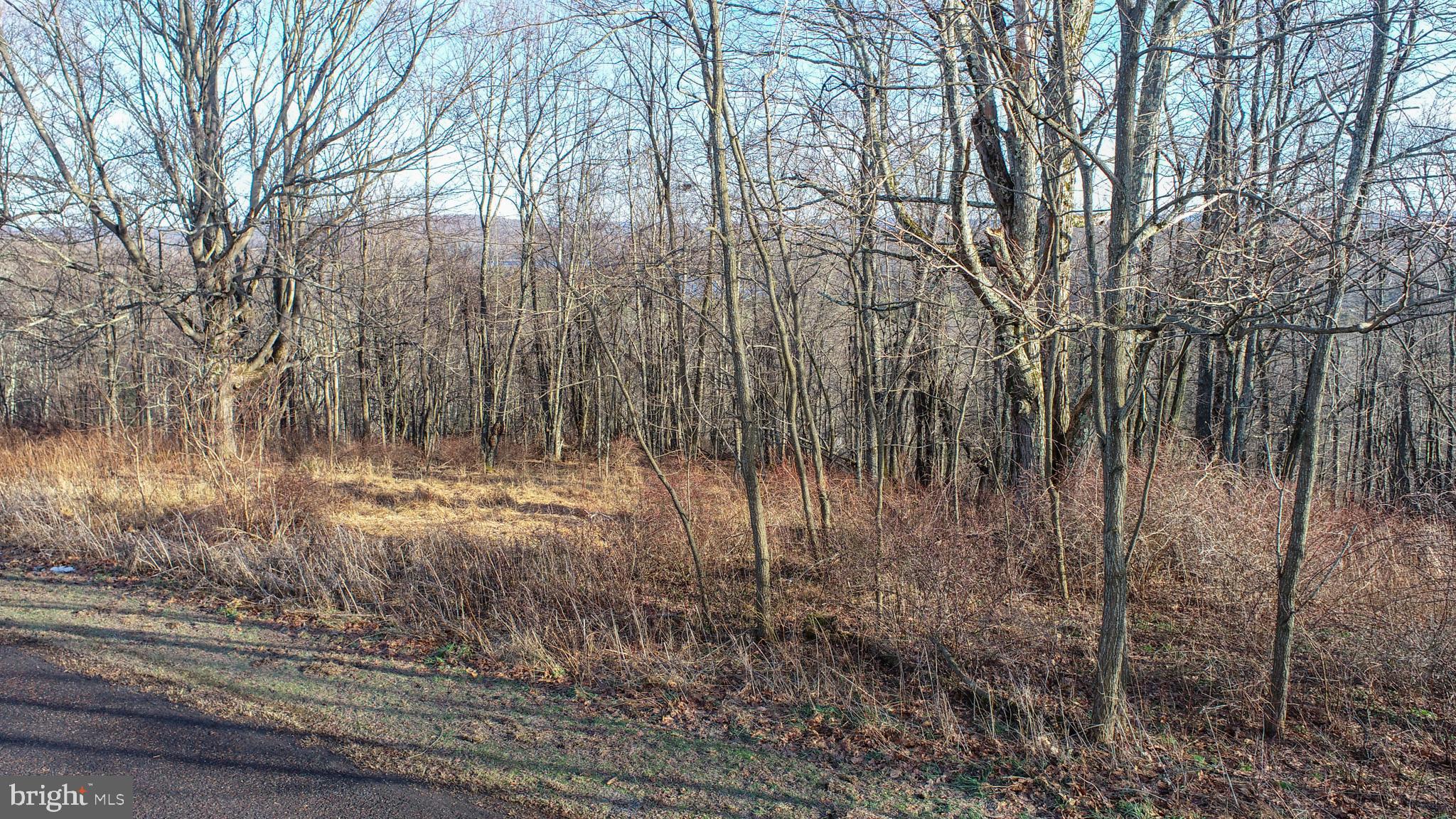 PARADISE RIDGE - Land