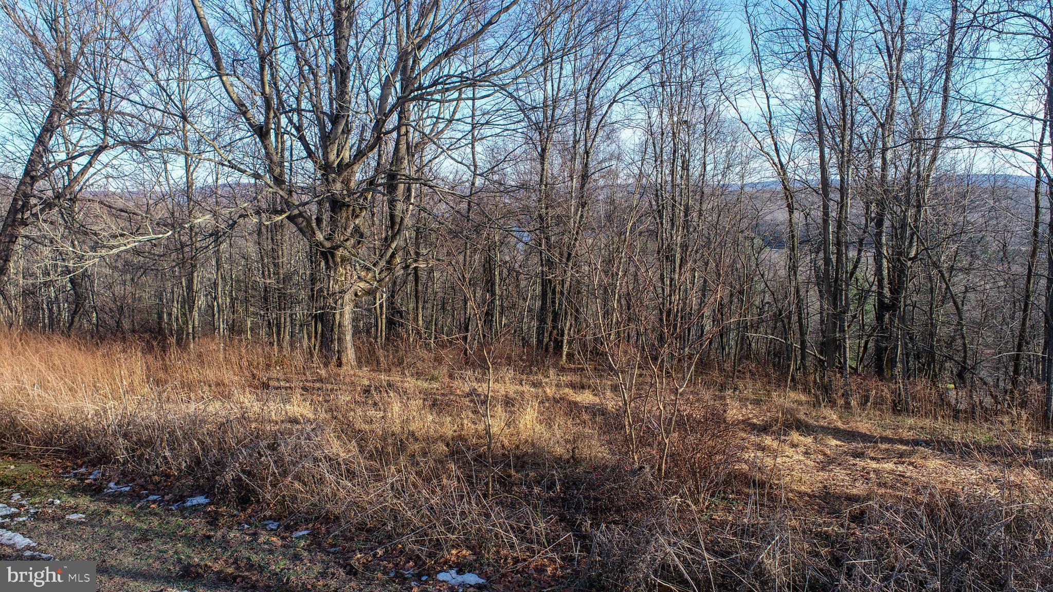 PARADISE RIDGE - Land